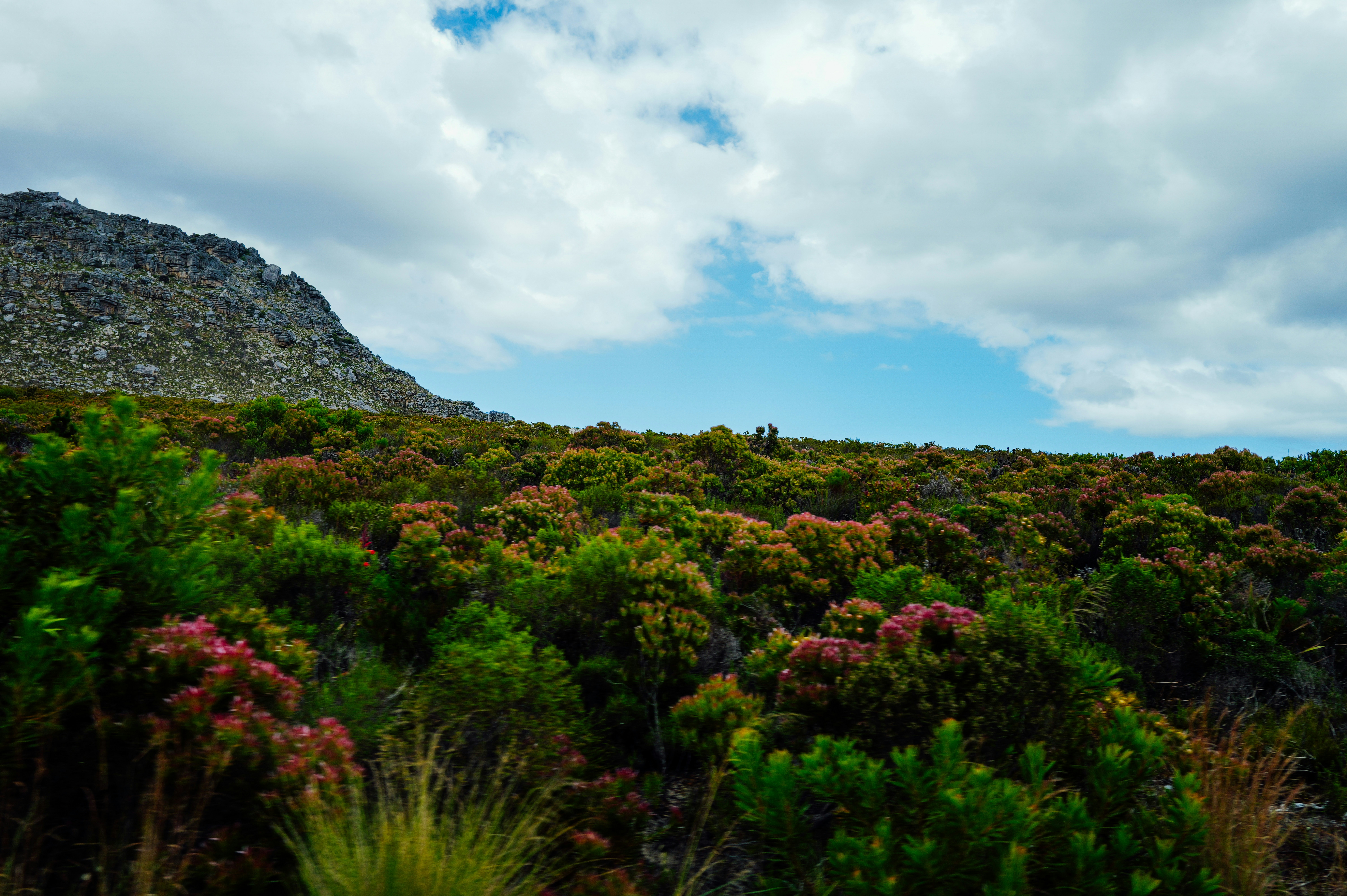 Photo by adrienolichon