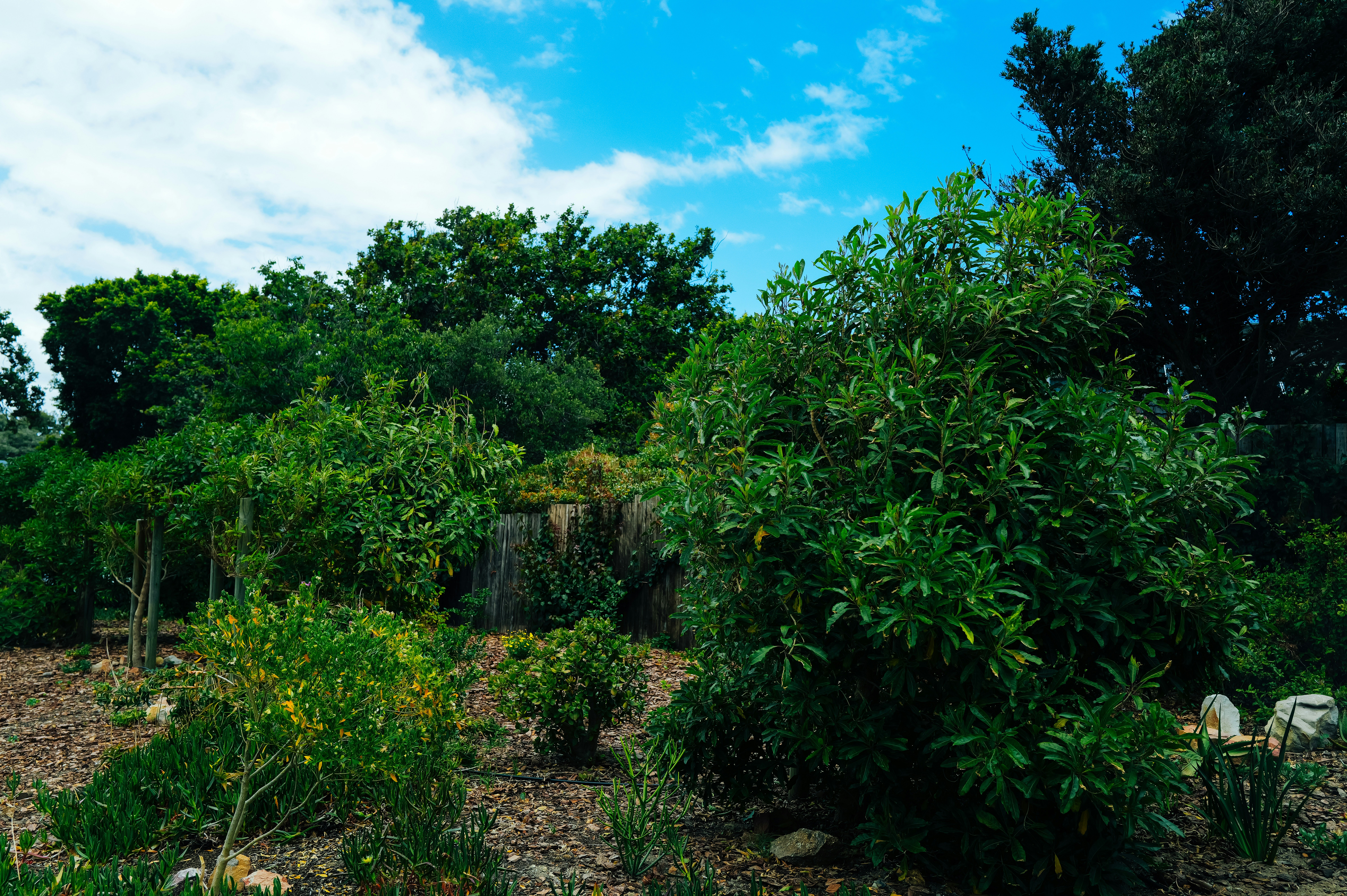 Photo by adrienolichon