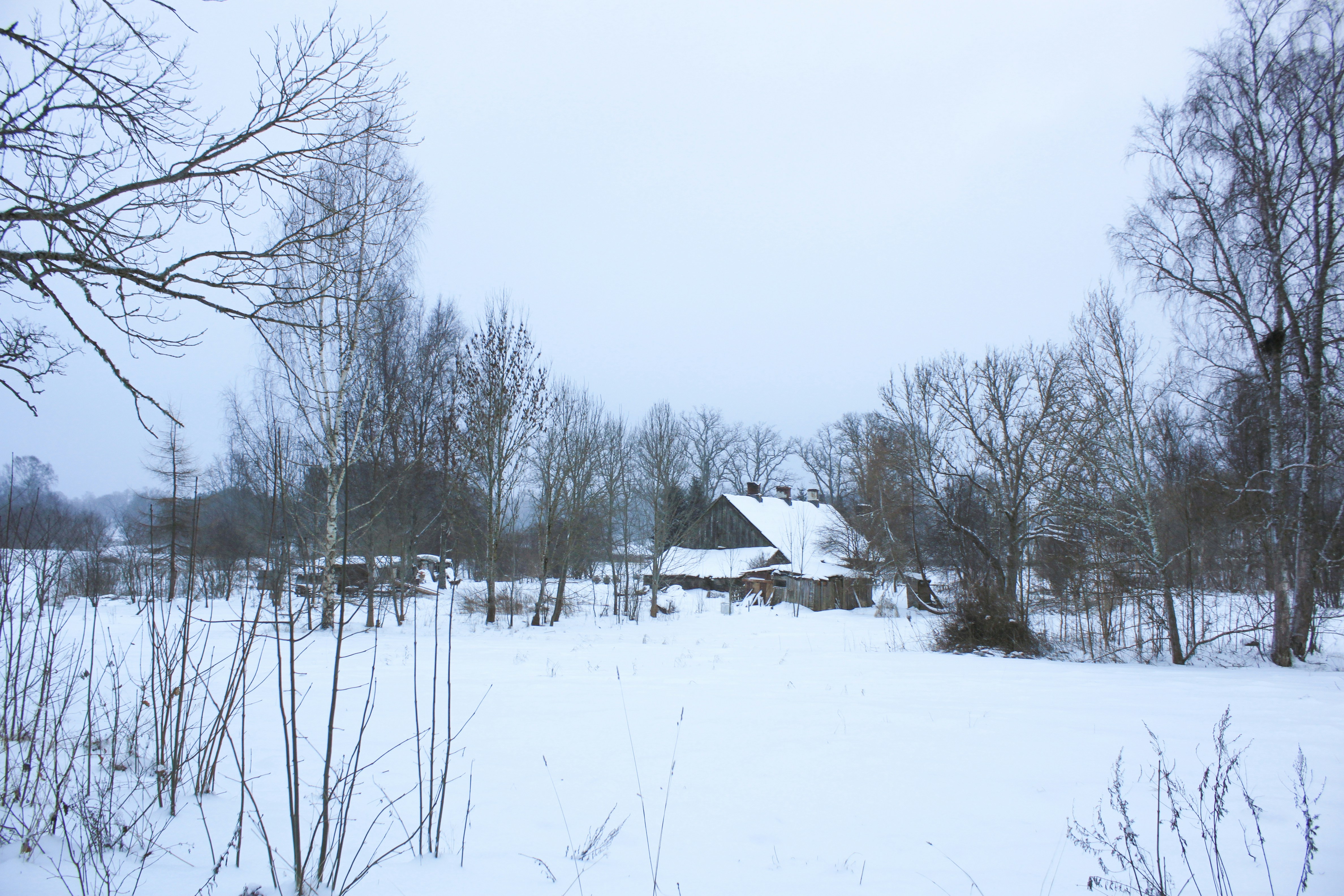 Photo by collective_art