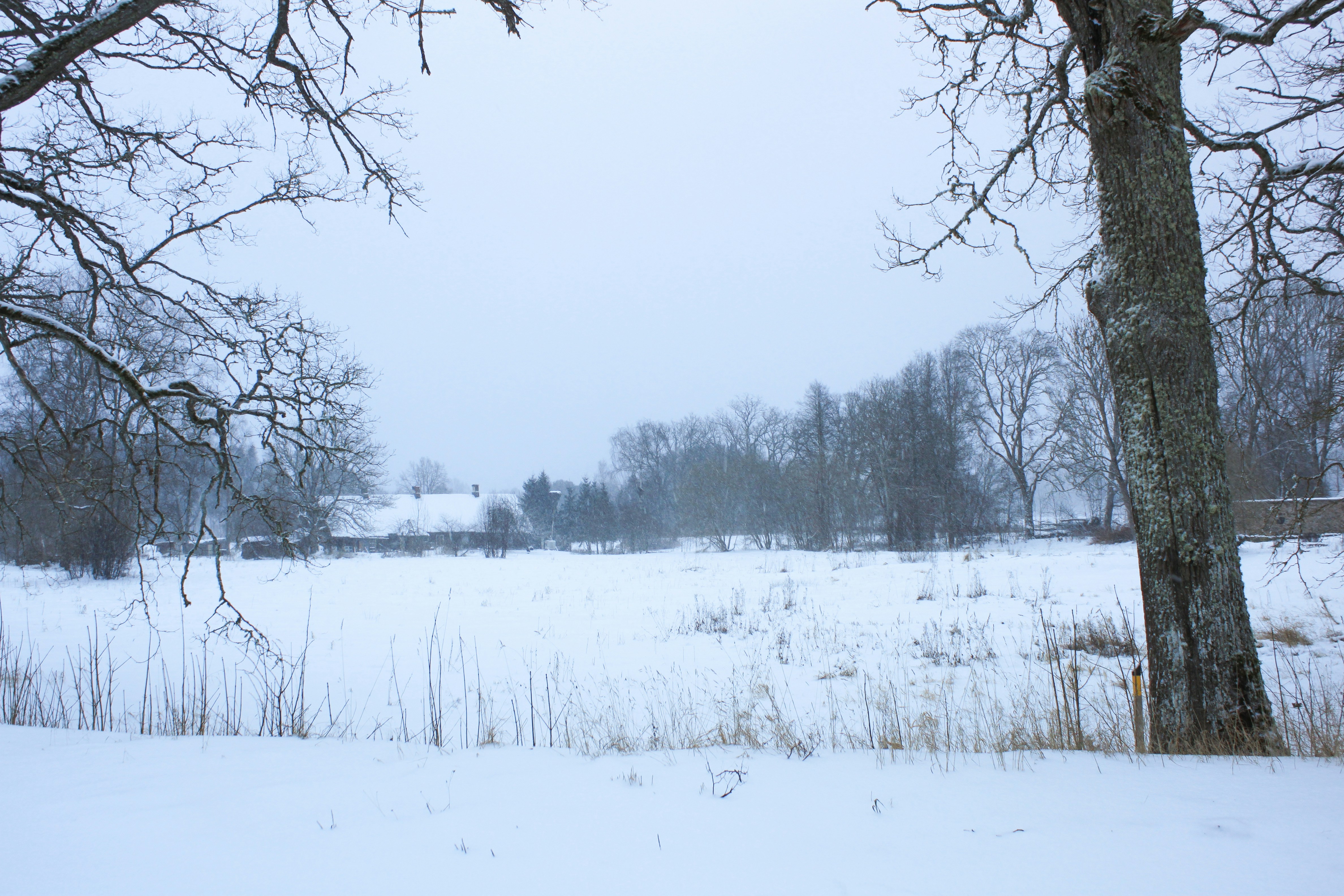 Photo by collective_art