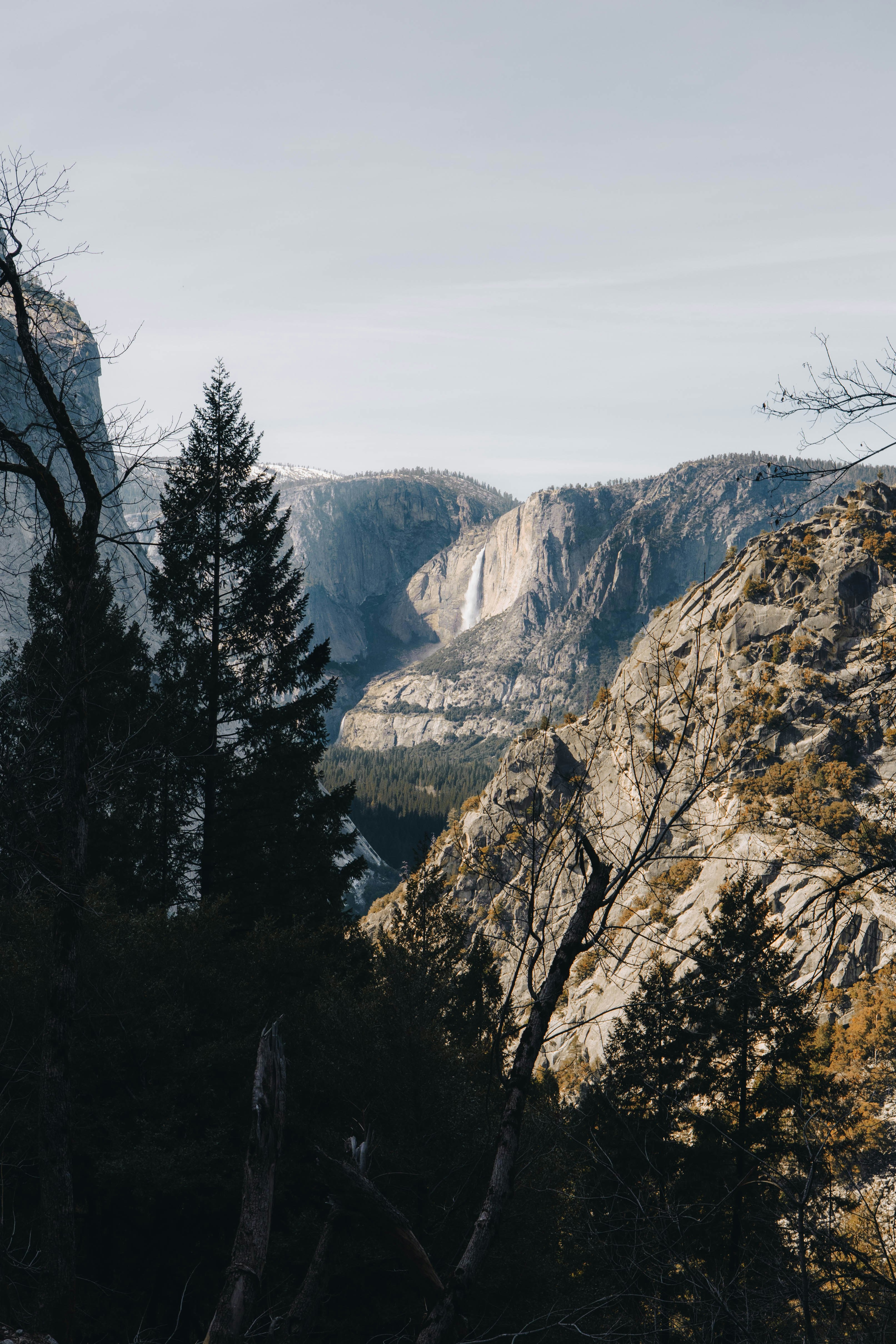 Photo by jeffersonsees