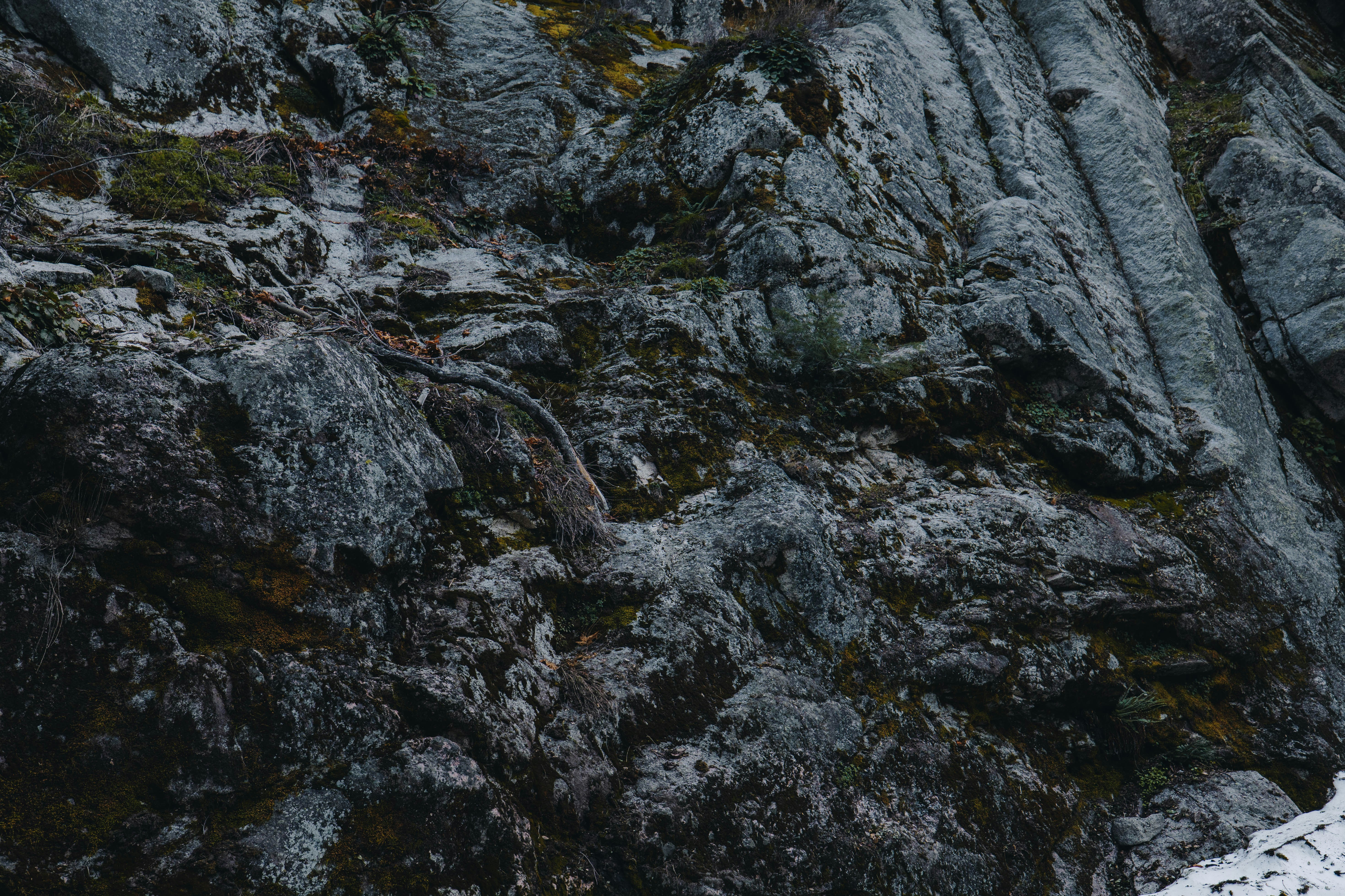 Photo by jeffersonsees