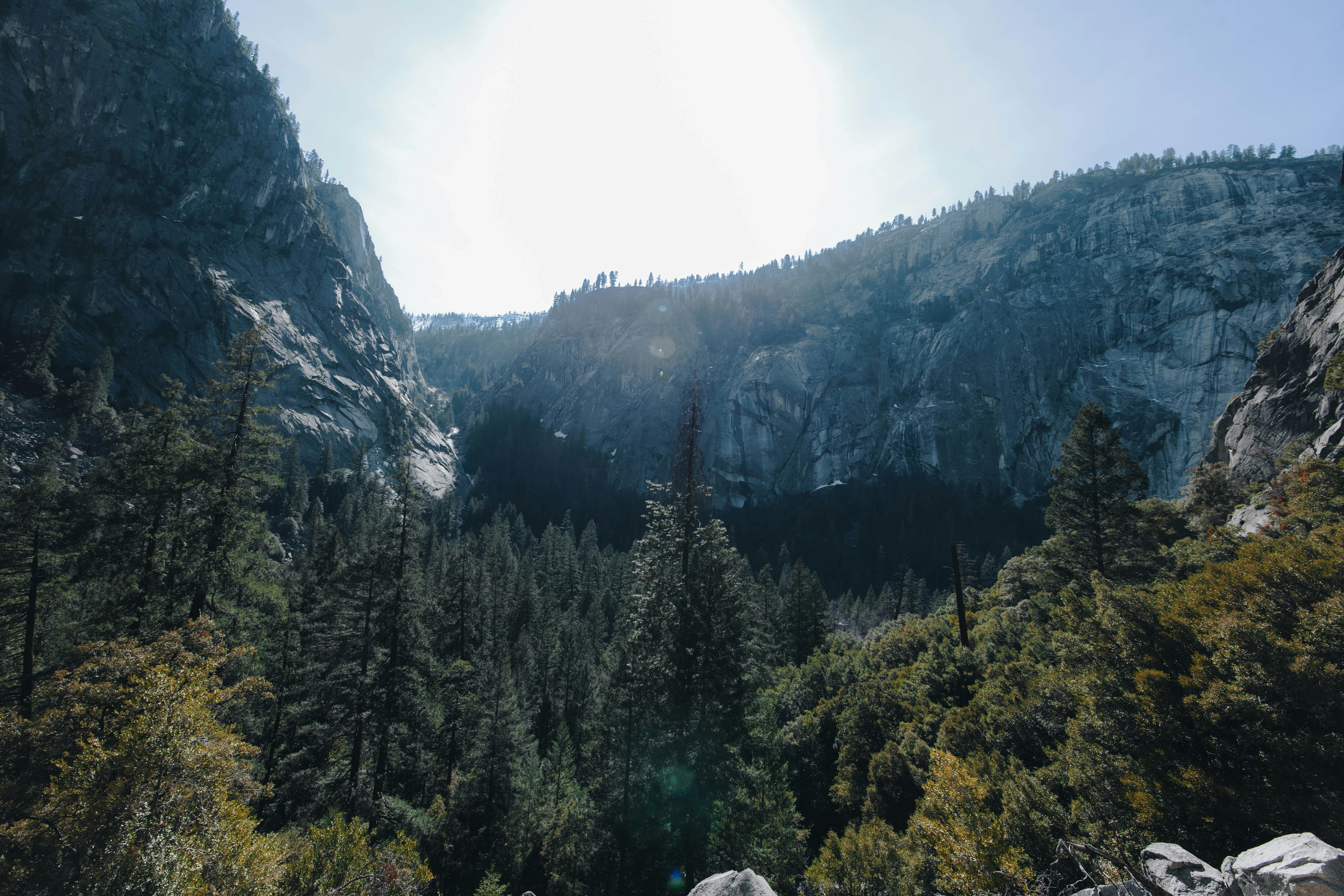 Photo by jeffersonsees