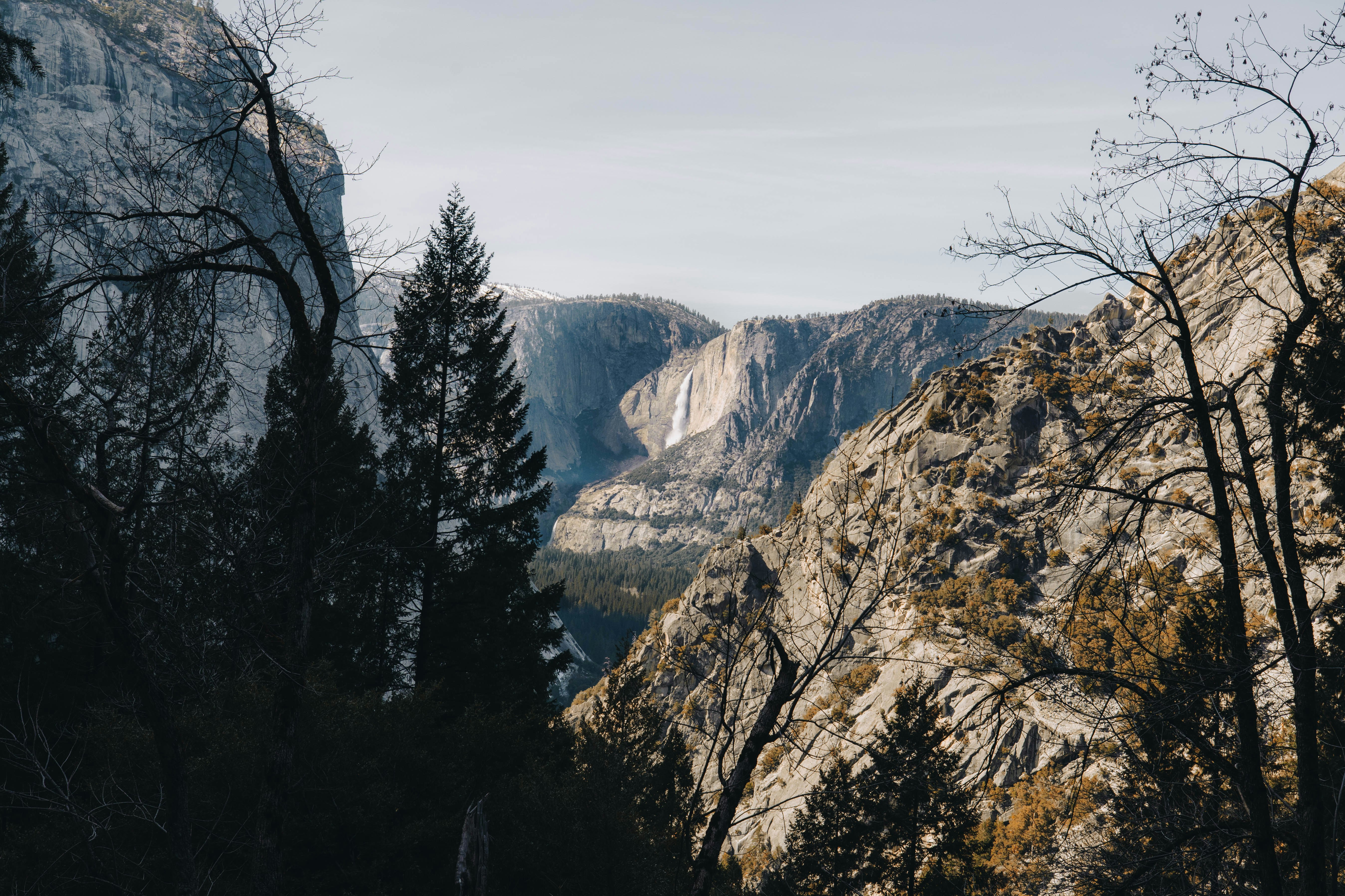 Photo by jeffersonsees