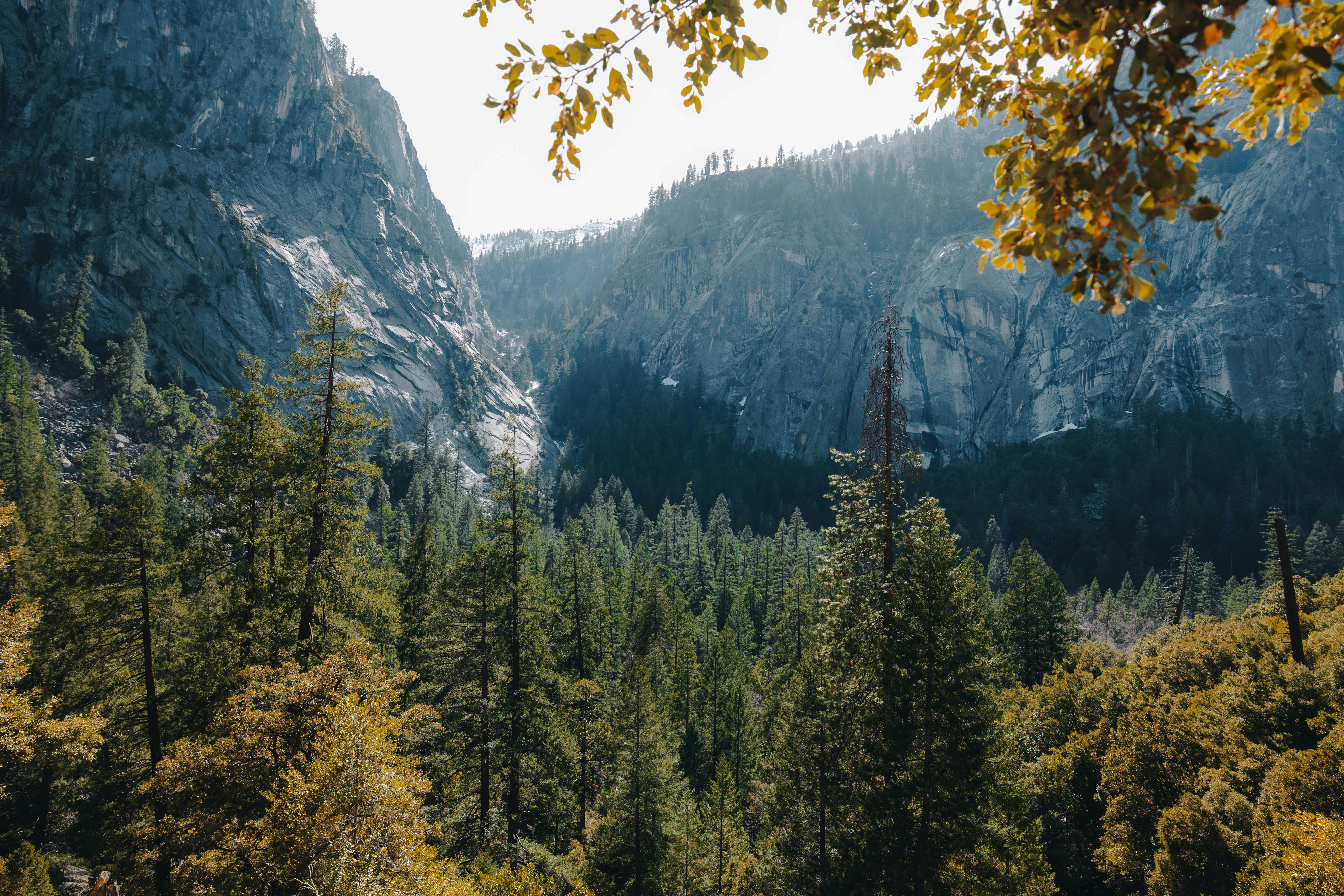 Photo by jeffersonsees