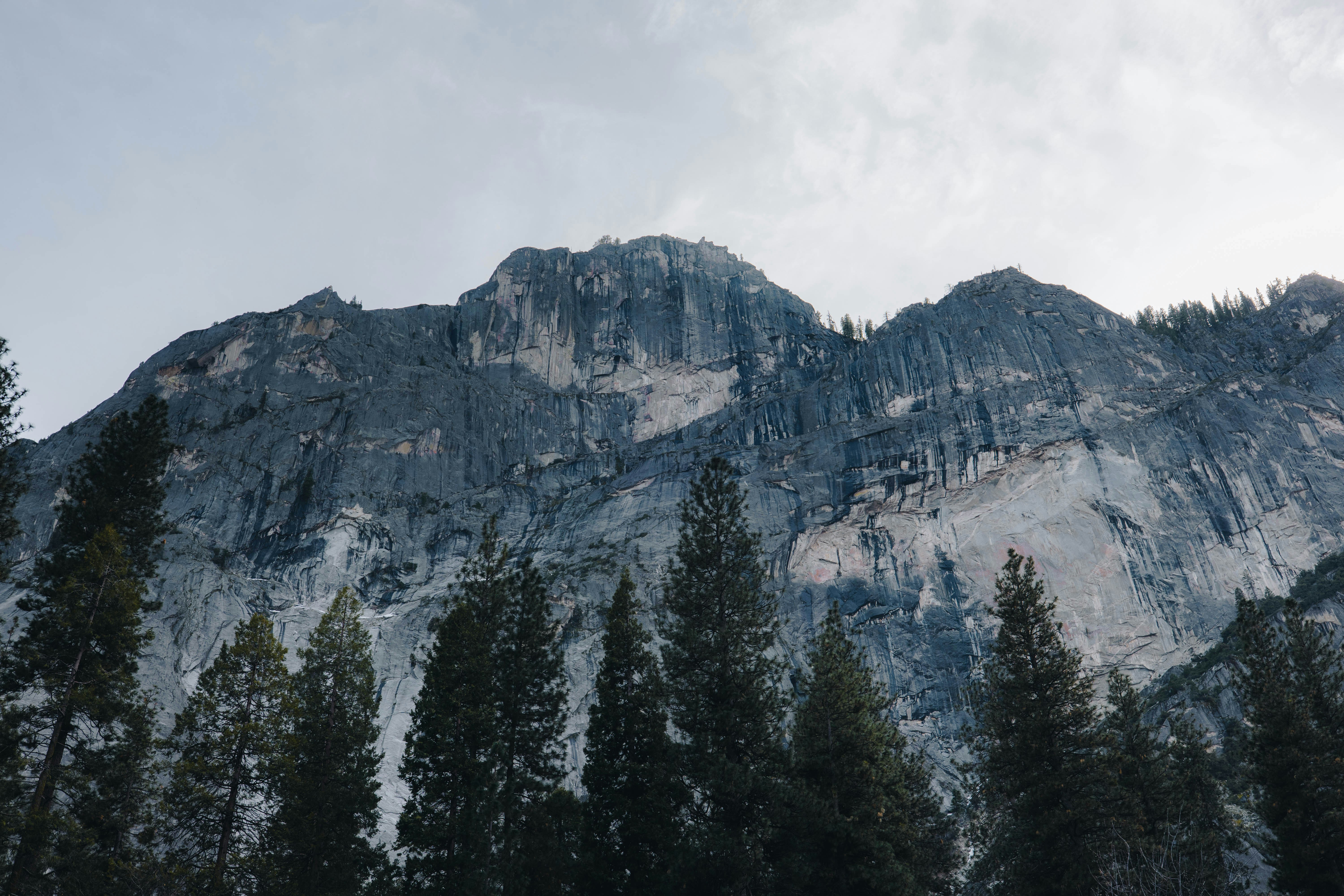 Photo by jeffersonsees