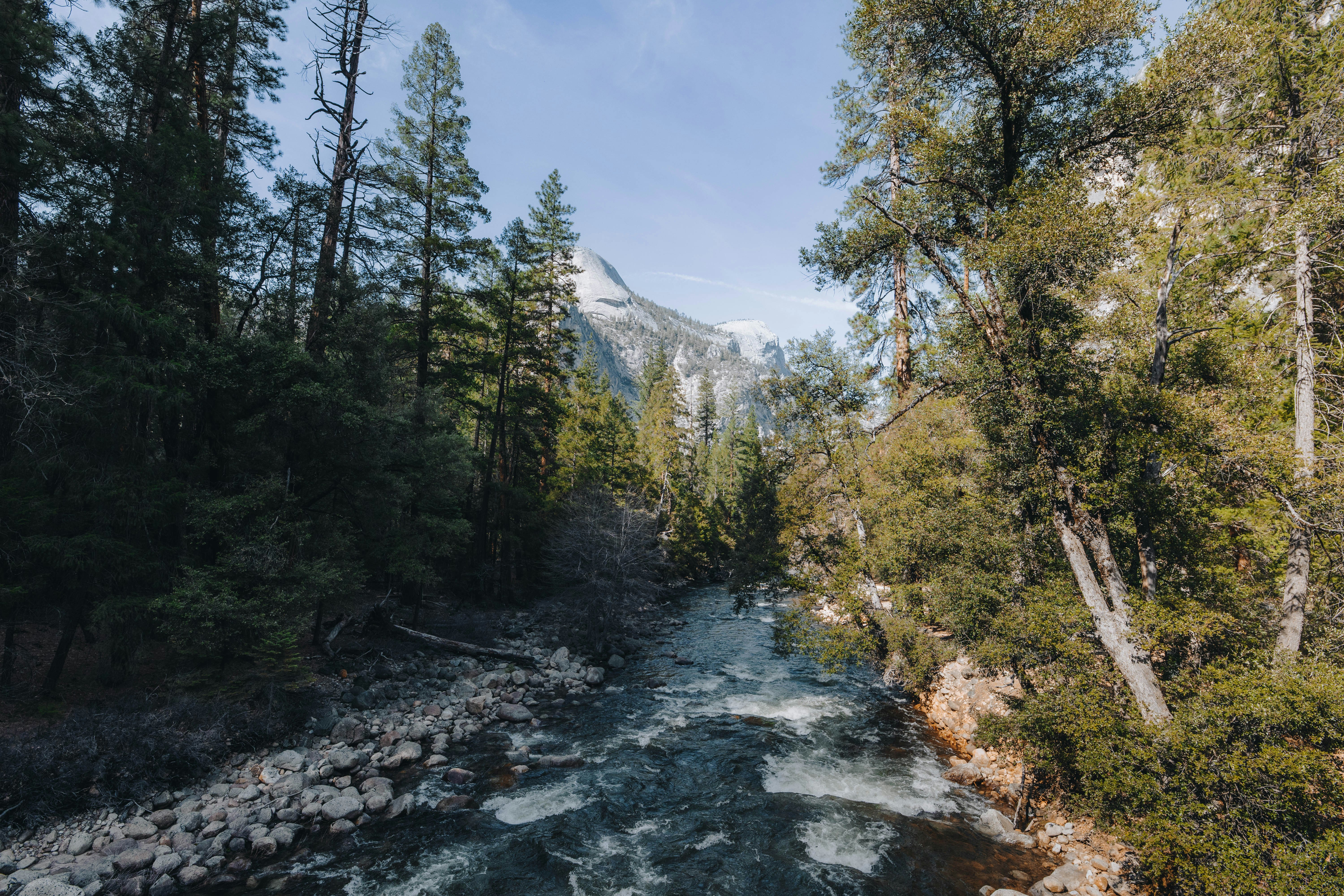 Photo by jeffersonsees