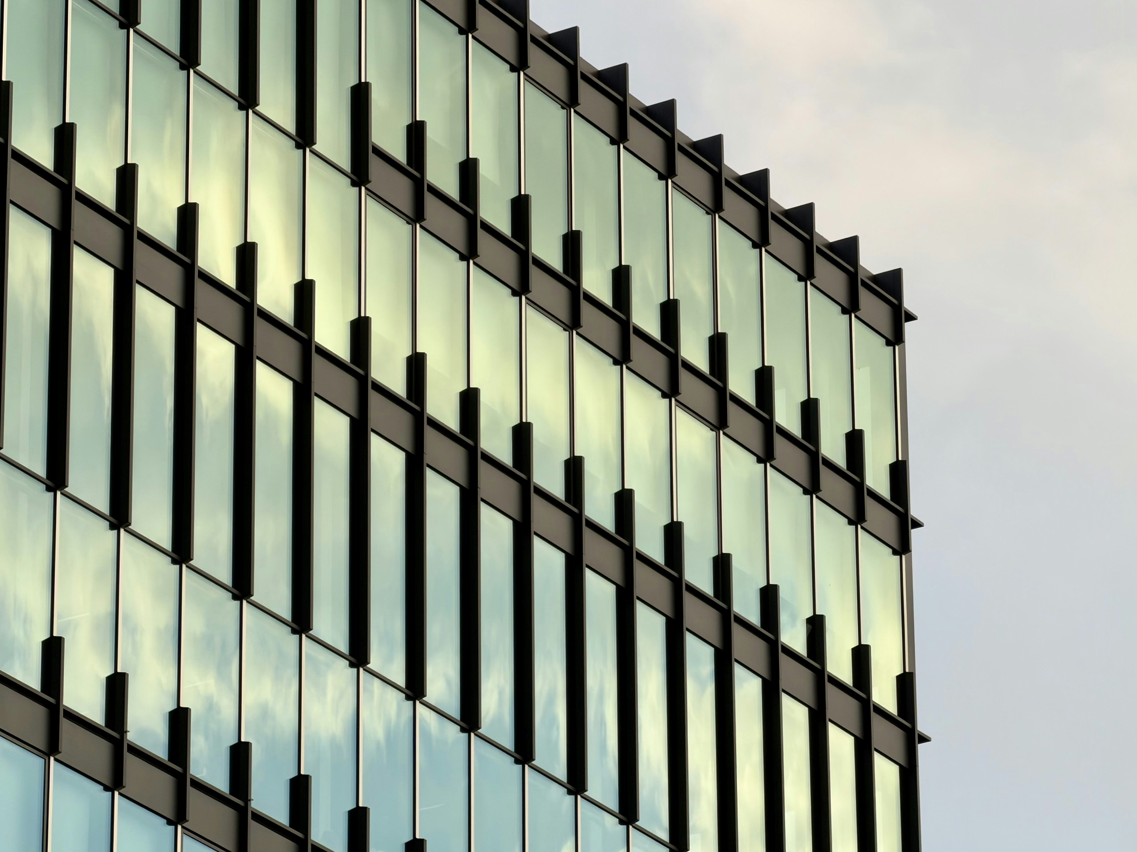 Photo by justsiempie