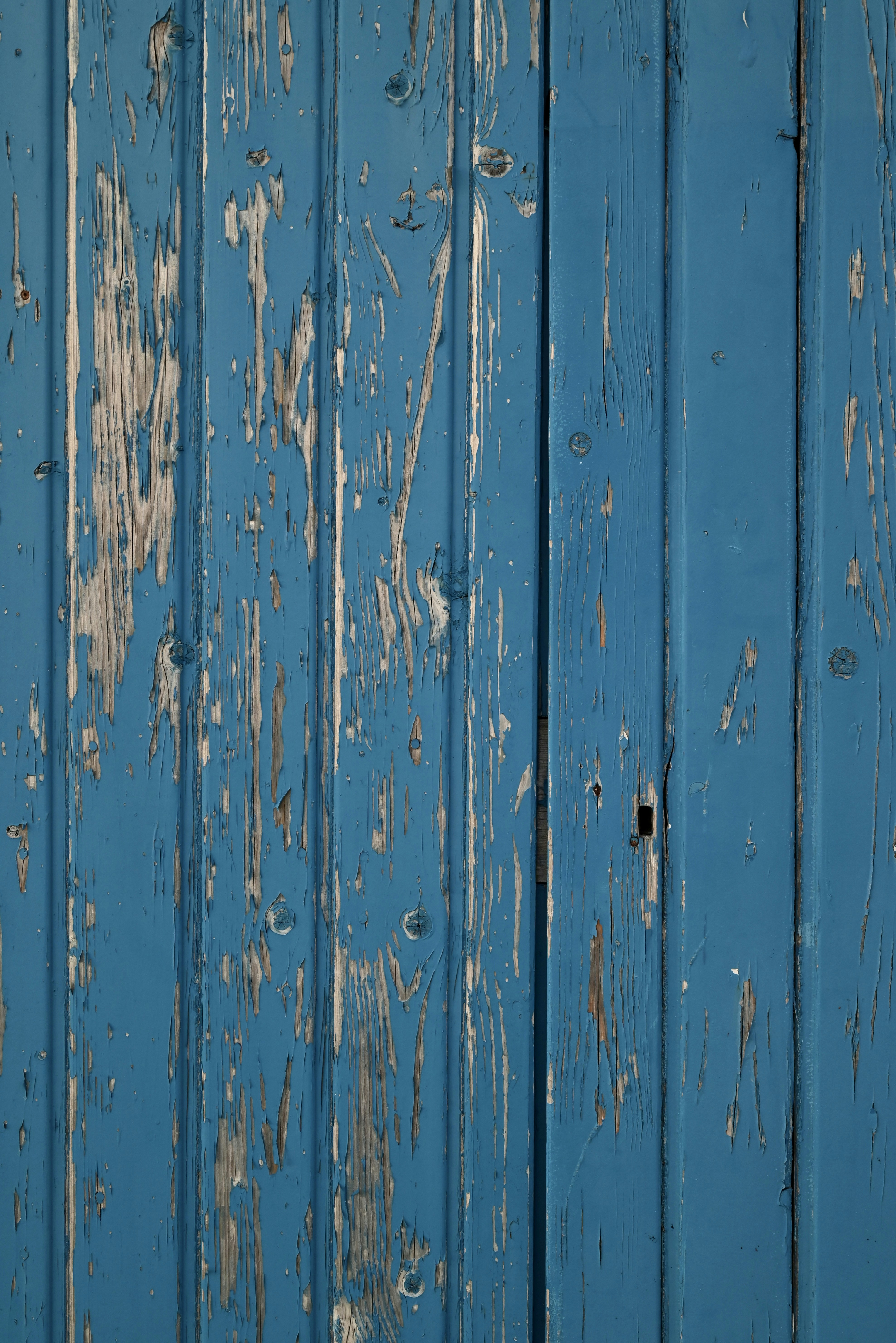 Photo by justsiempie