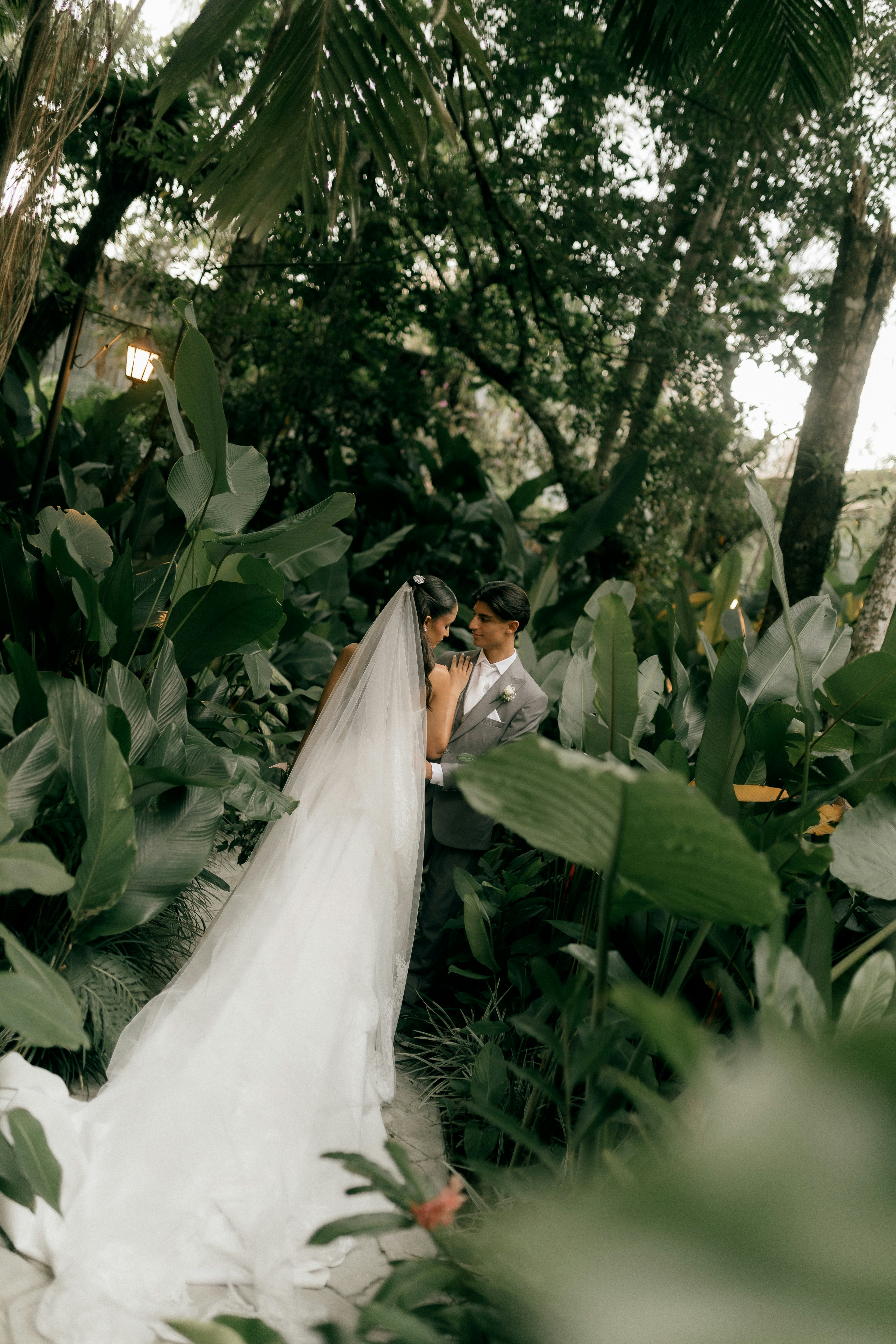 Photo by alexandermassph