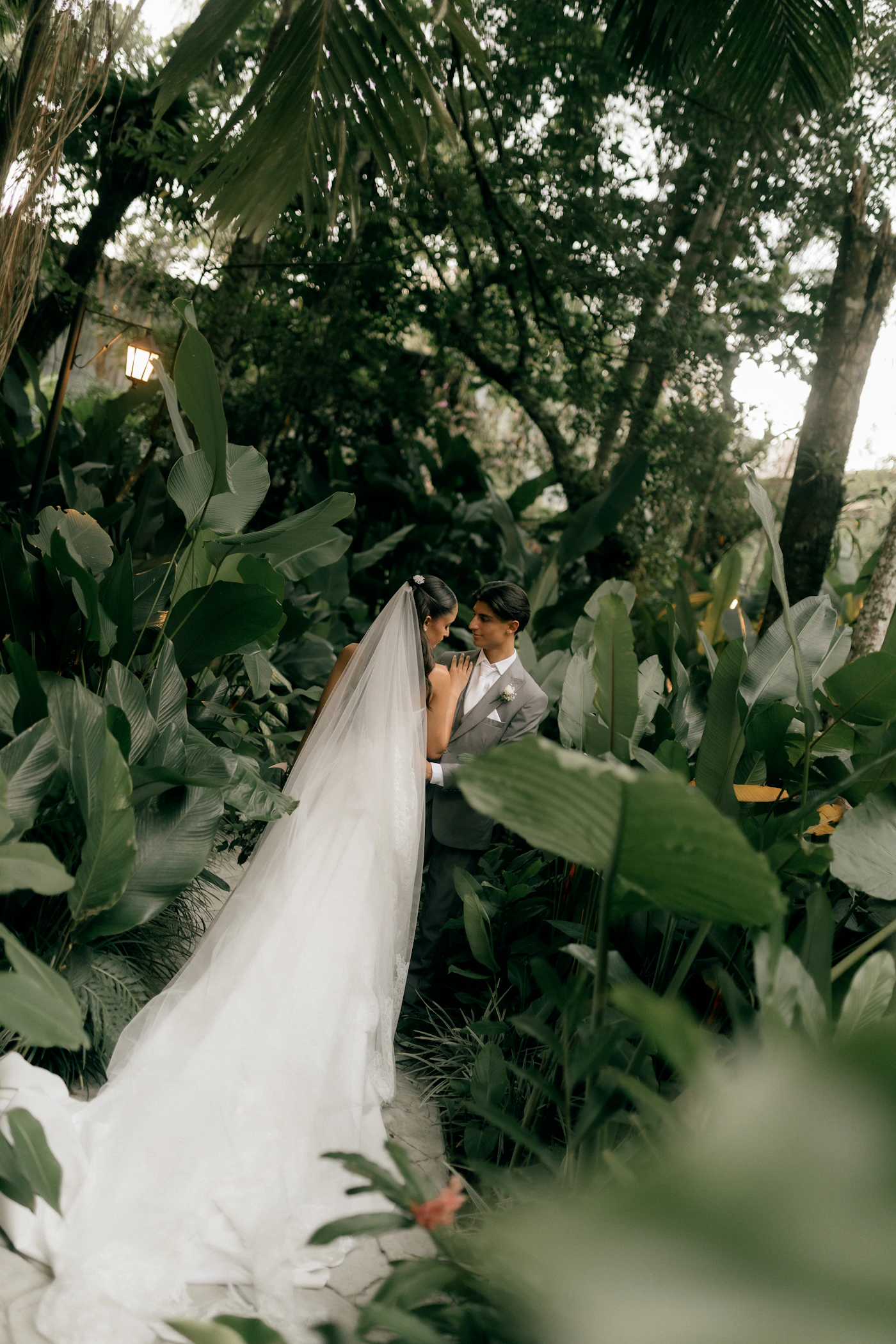 Couple planning the next section of their Ecuador cloud forest elopement with the mist and the dense vegetation of the Mindo reserve around them