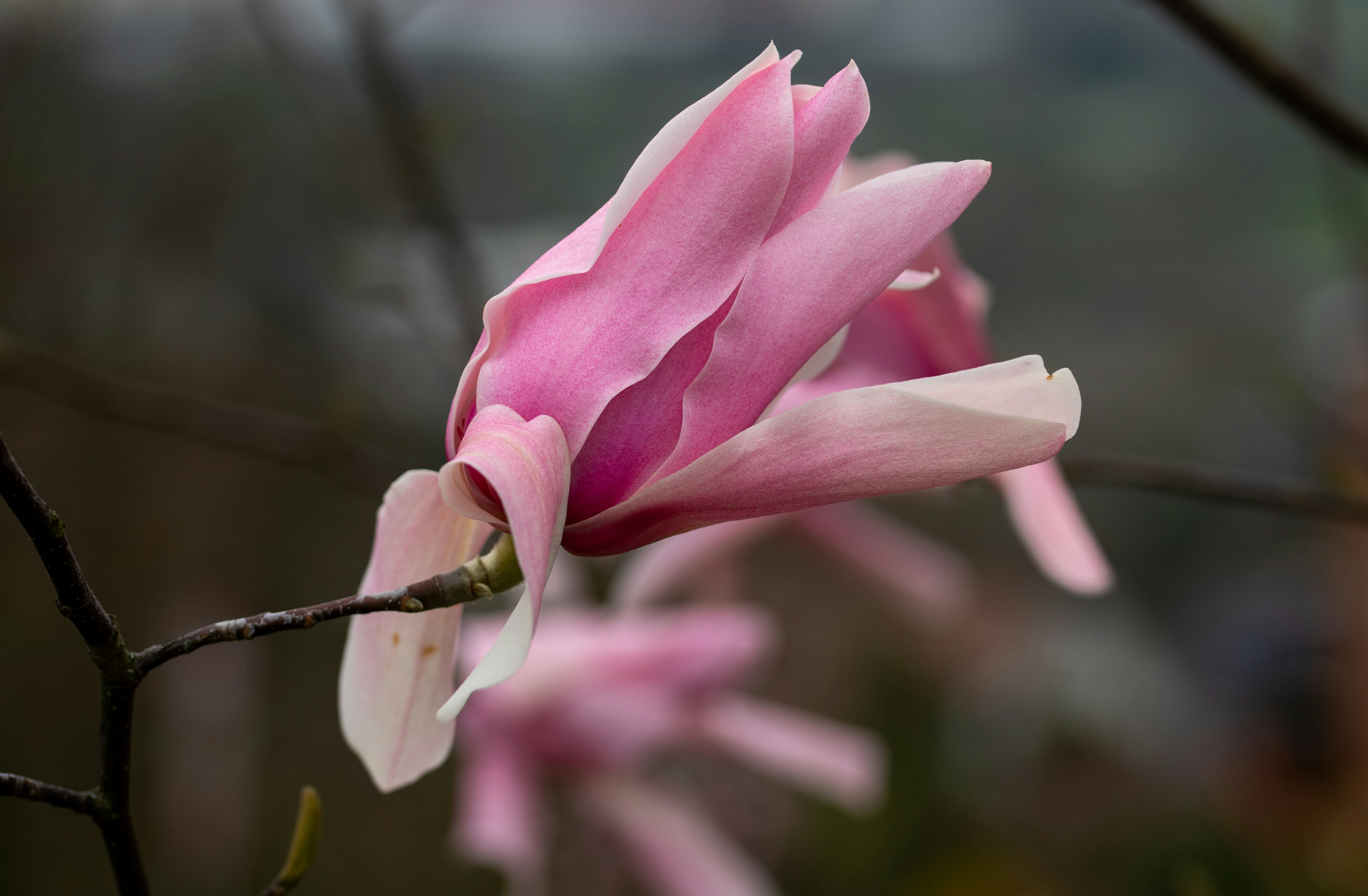 Photo by hdbernd