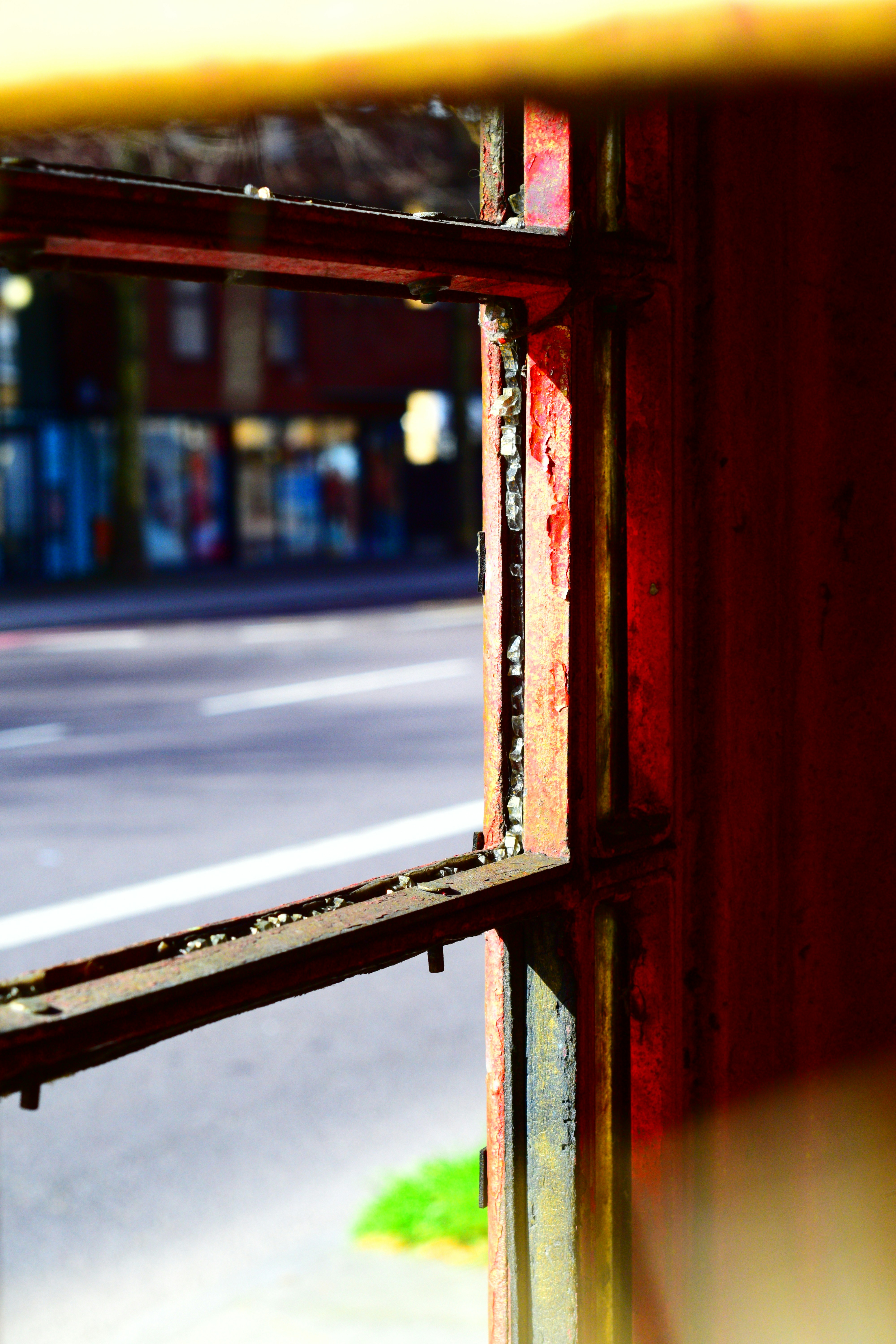 Photo by suziepindar