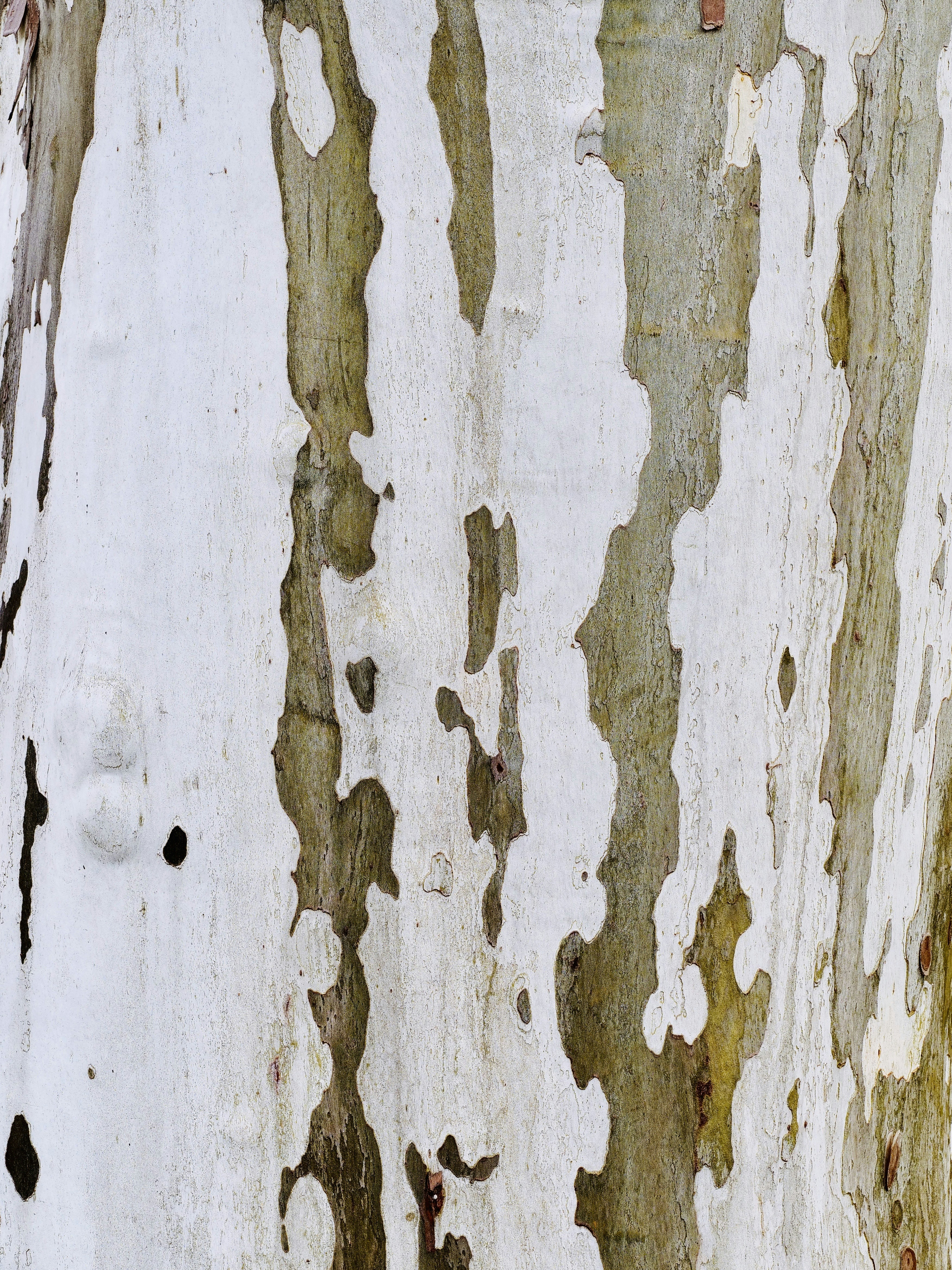 Photo by sschusterphotoart