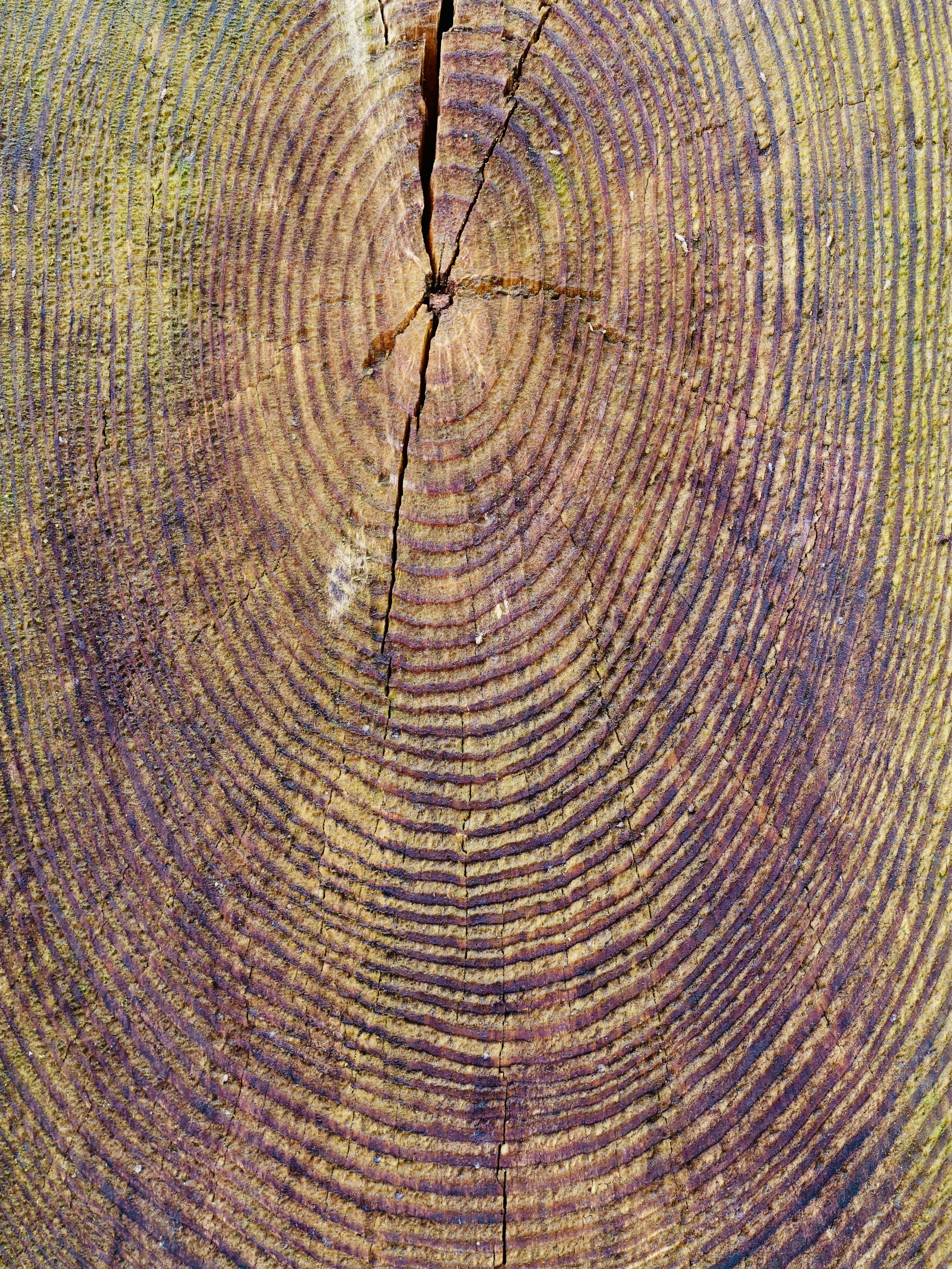 Photo by sschusterphotoart