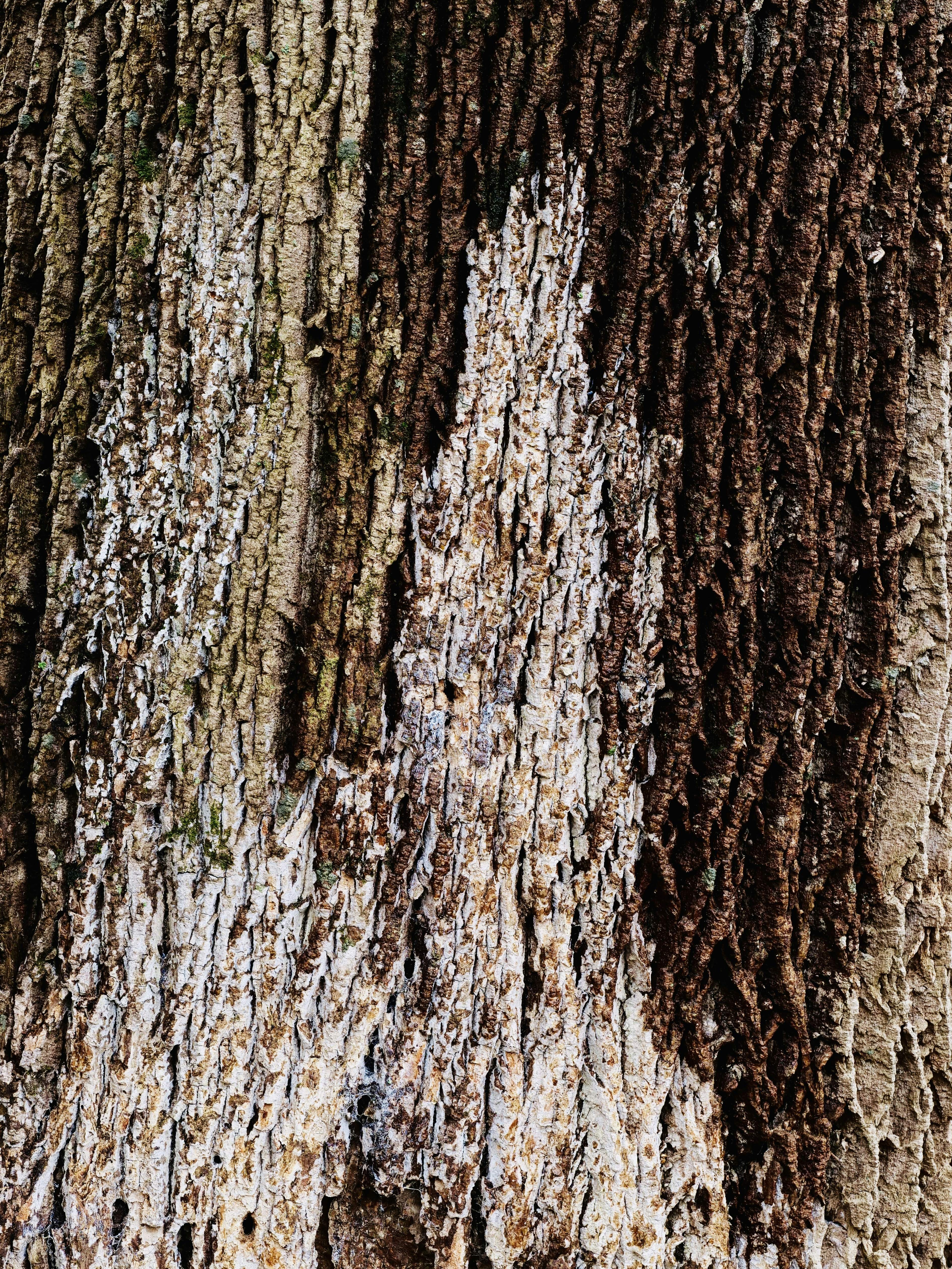 Photo by sschusterphotoart