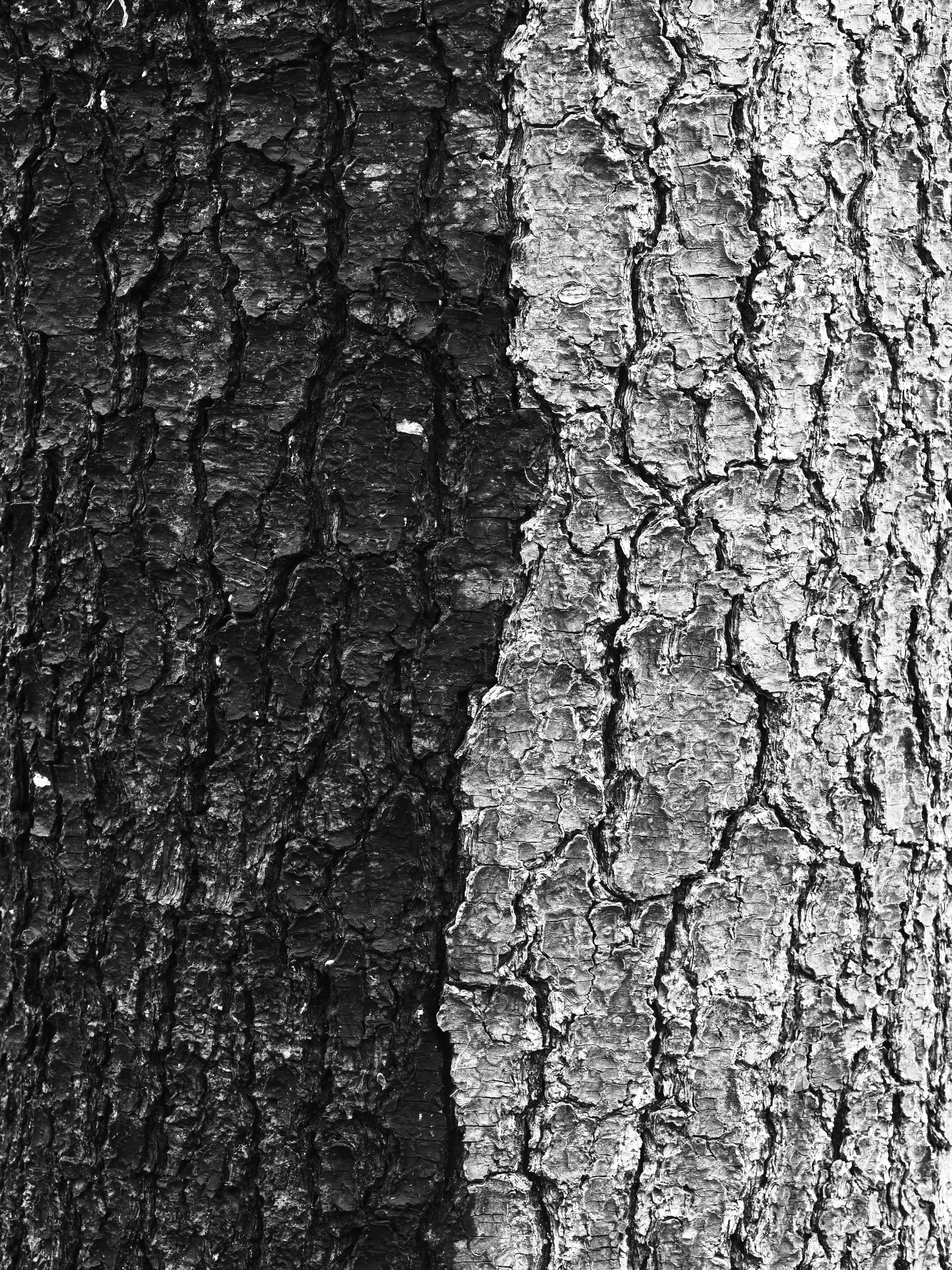 Photo by sschusterphotoart