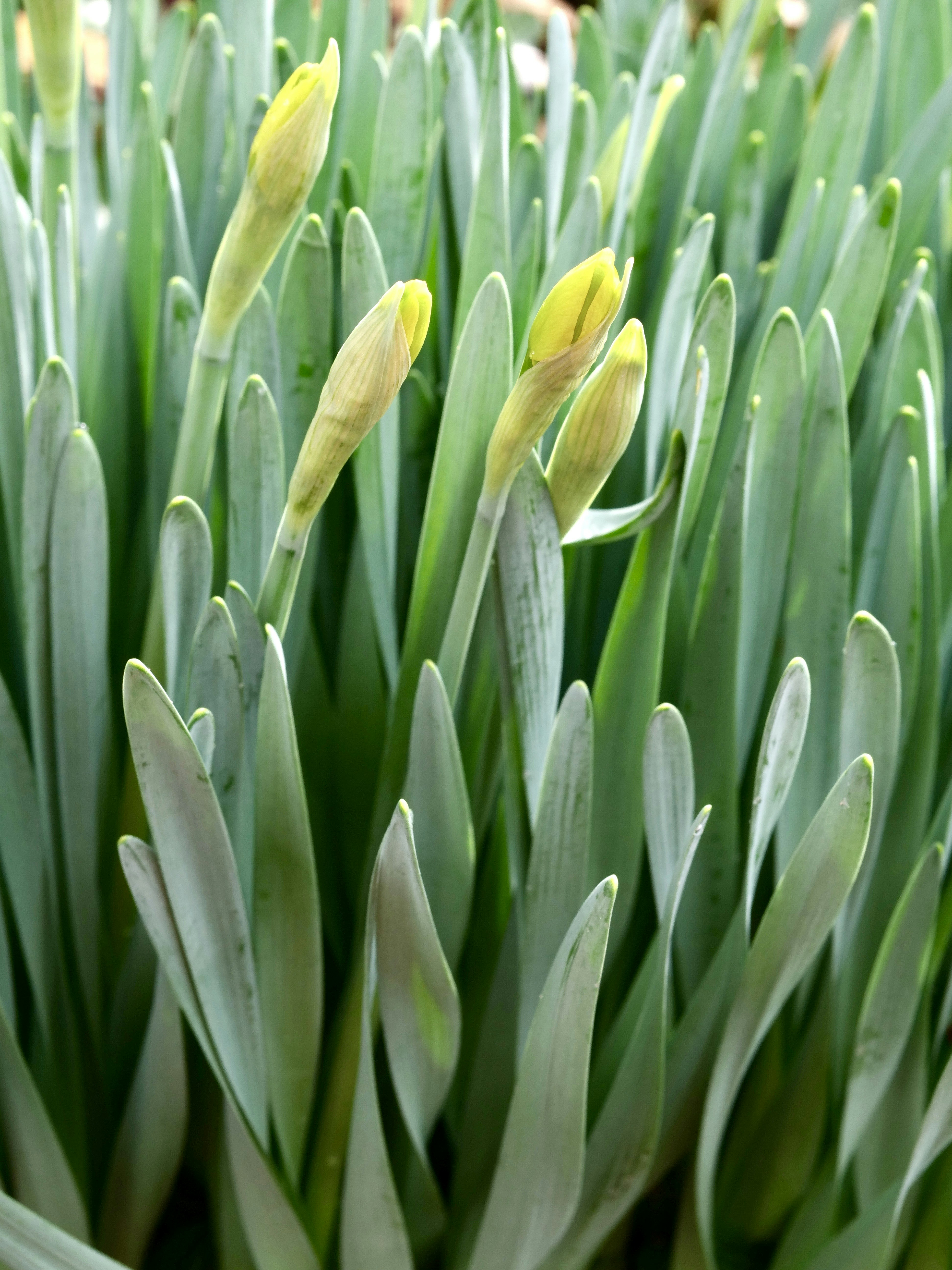 Photo by sschusterphotoart