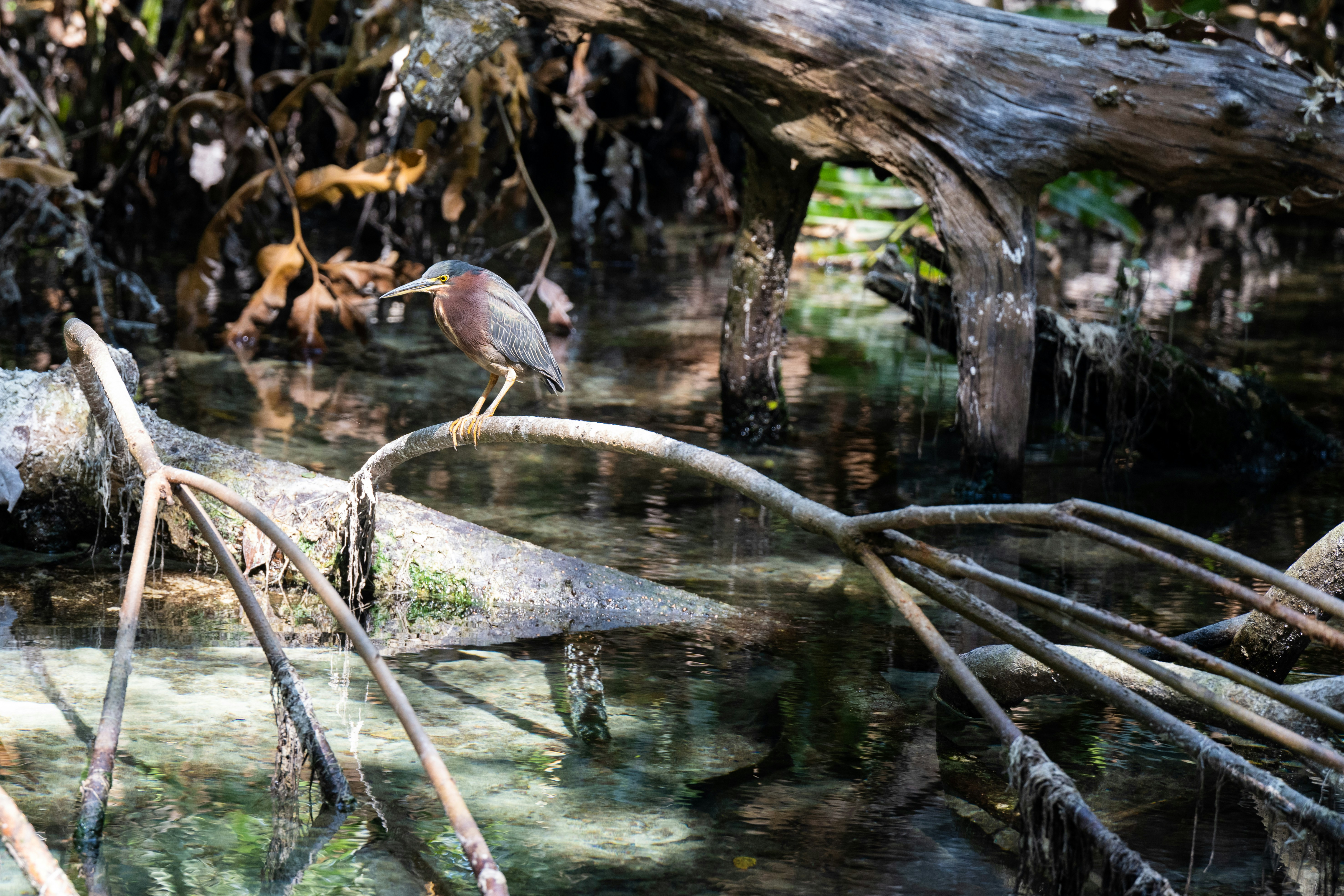 Photo by krzysztof_h