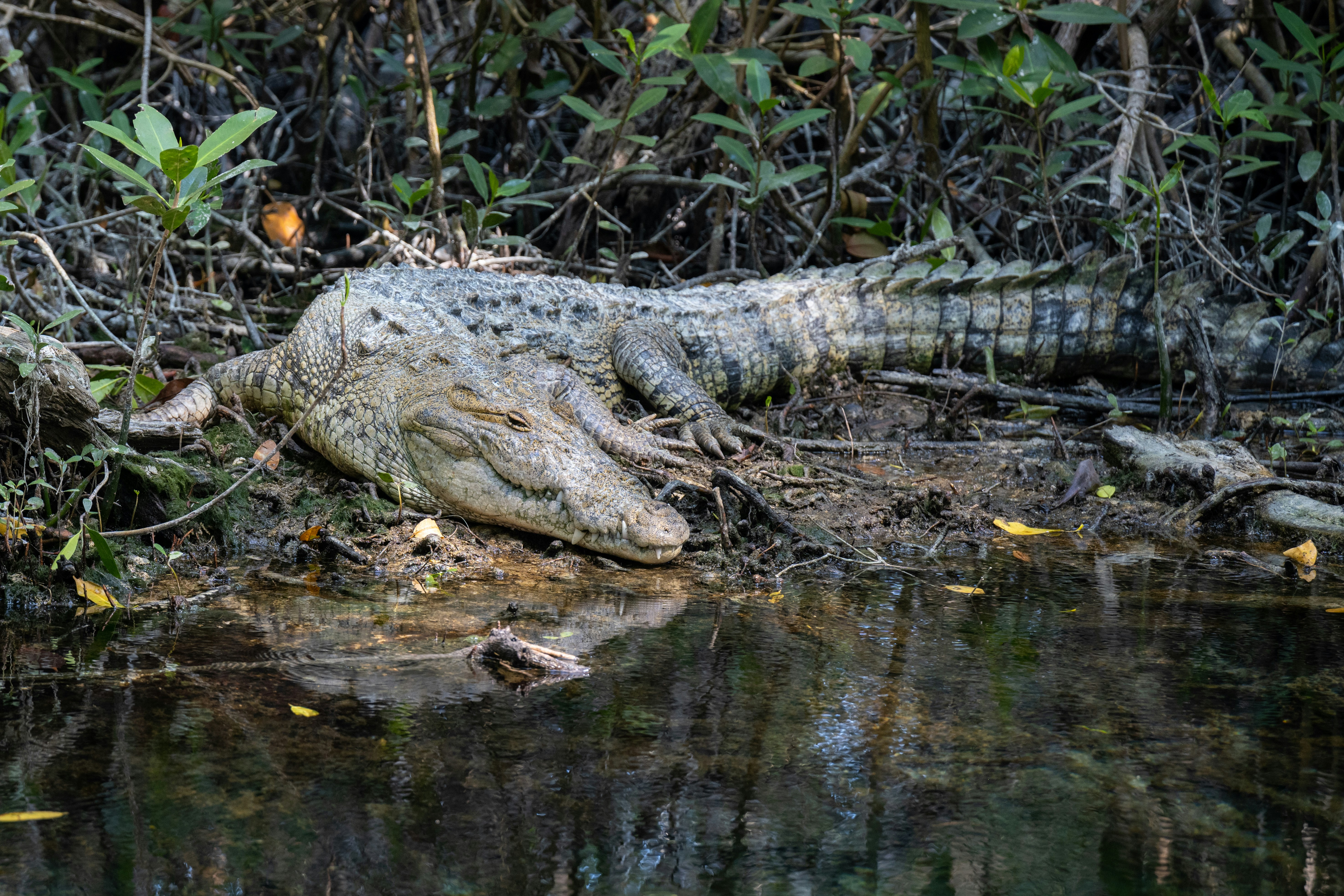 Photo by krzysztof_h