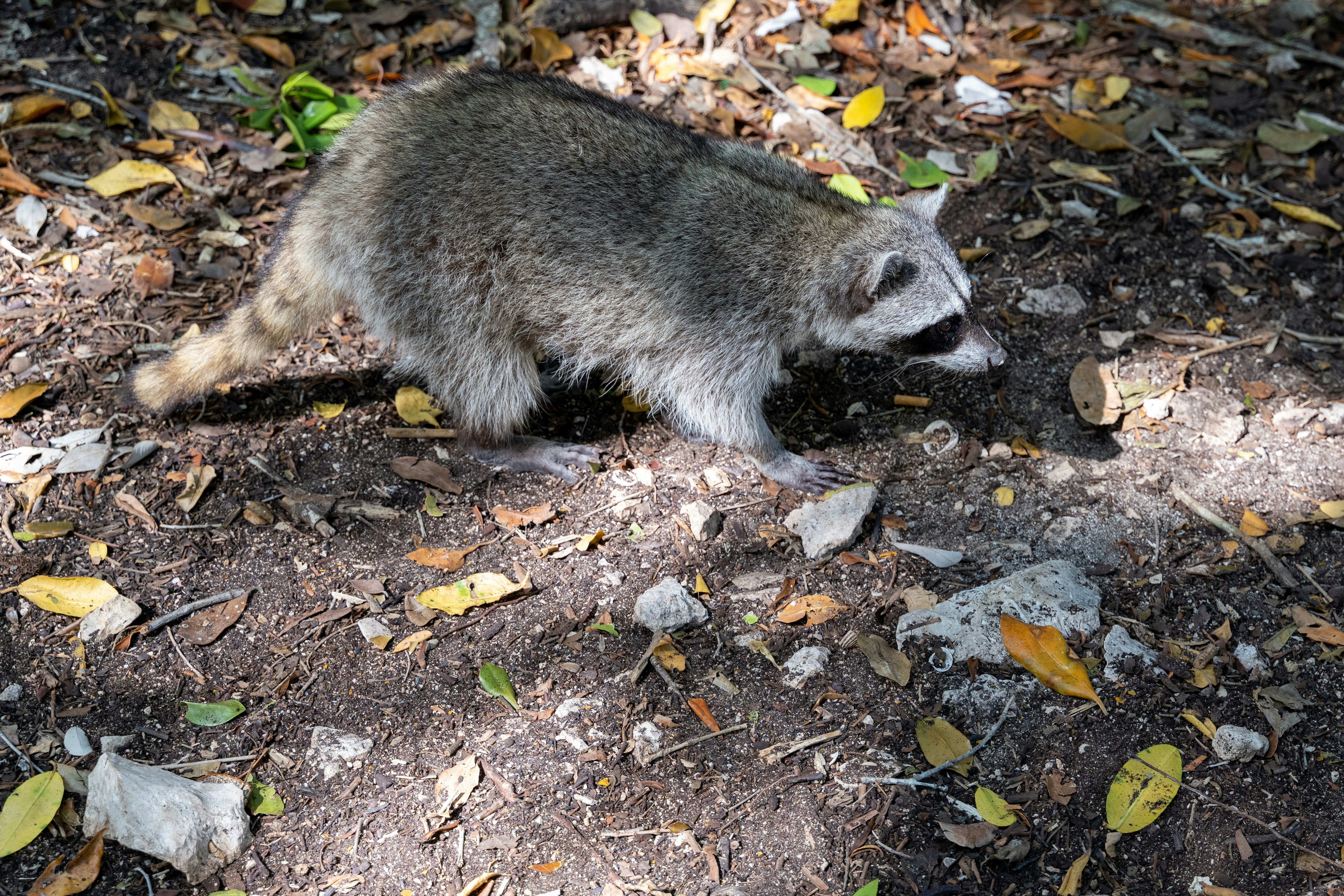 Photo by krzysztof_h