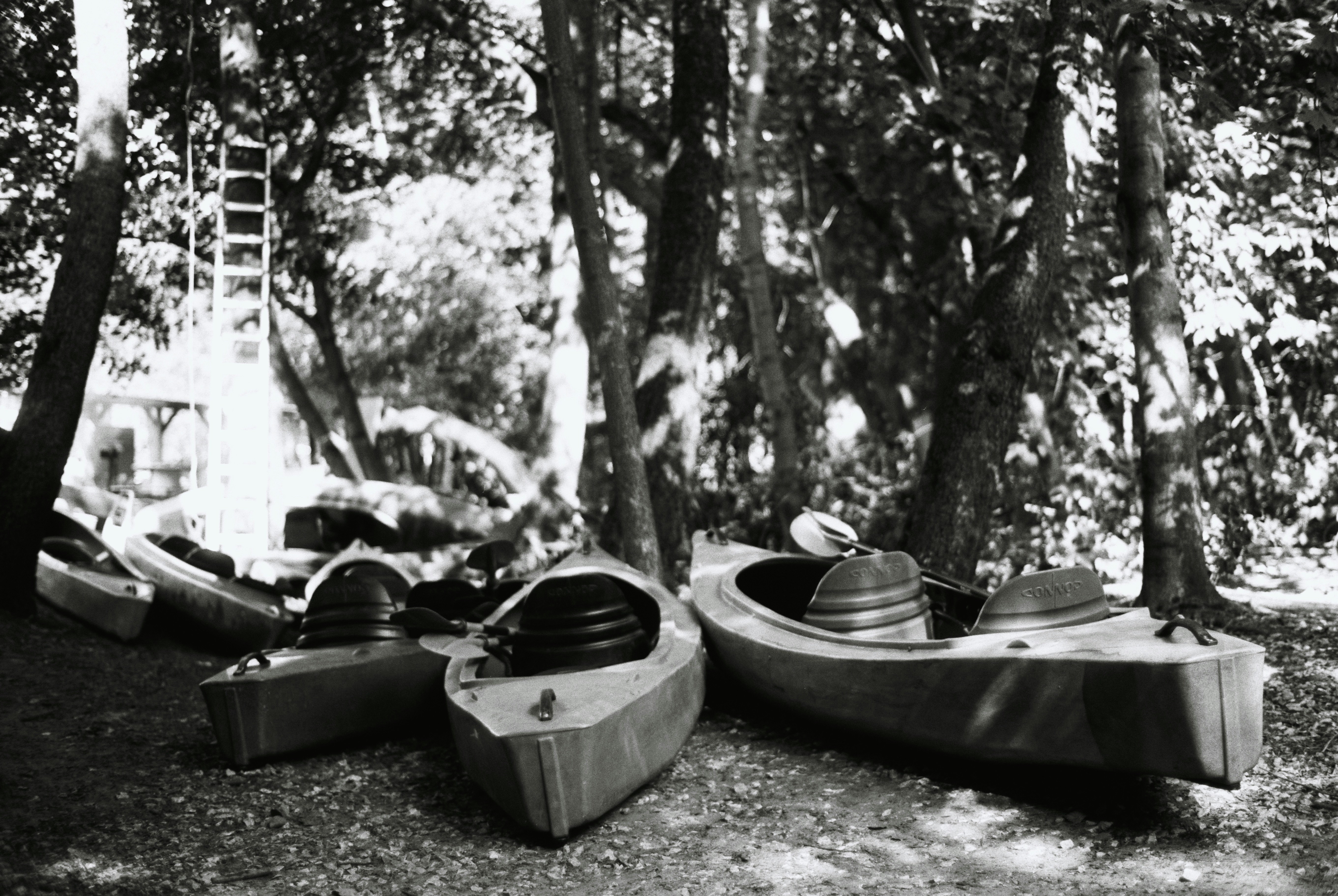 Several kayaks rest on the ground under trees.