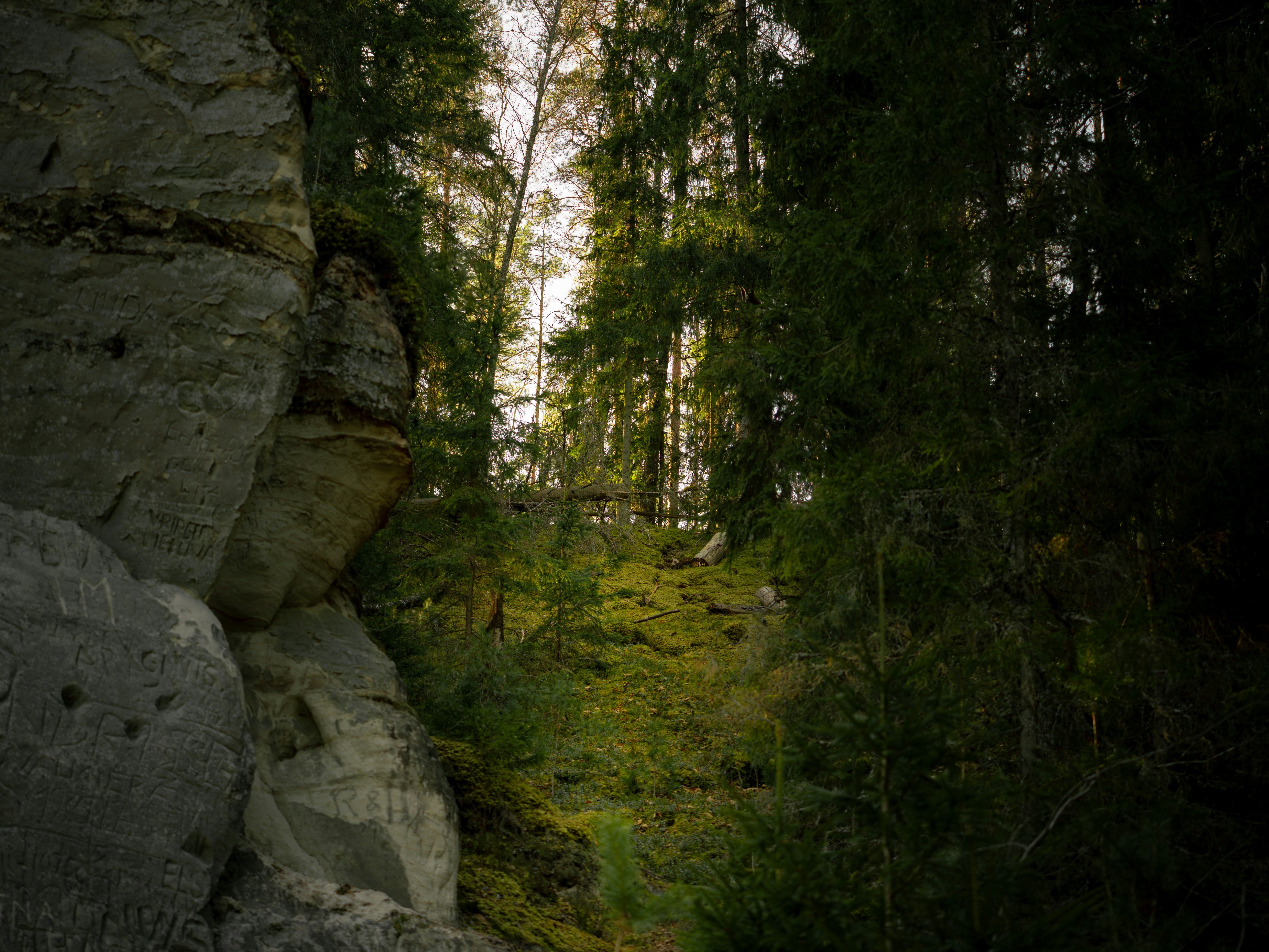 Photo by greckis_k