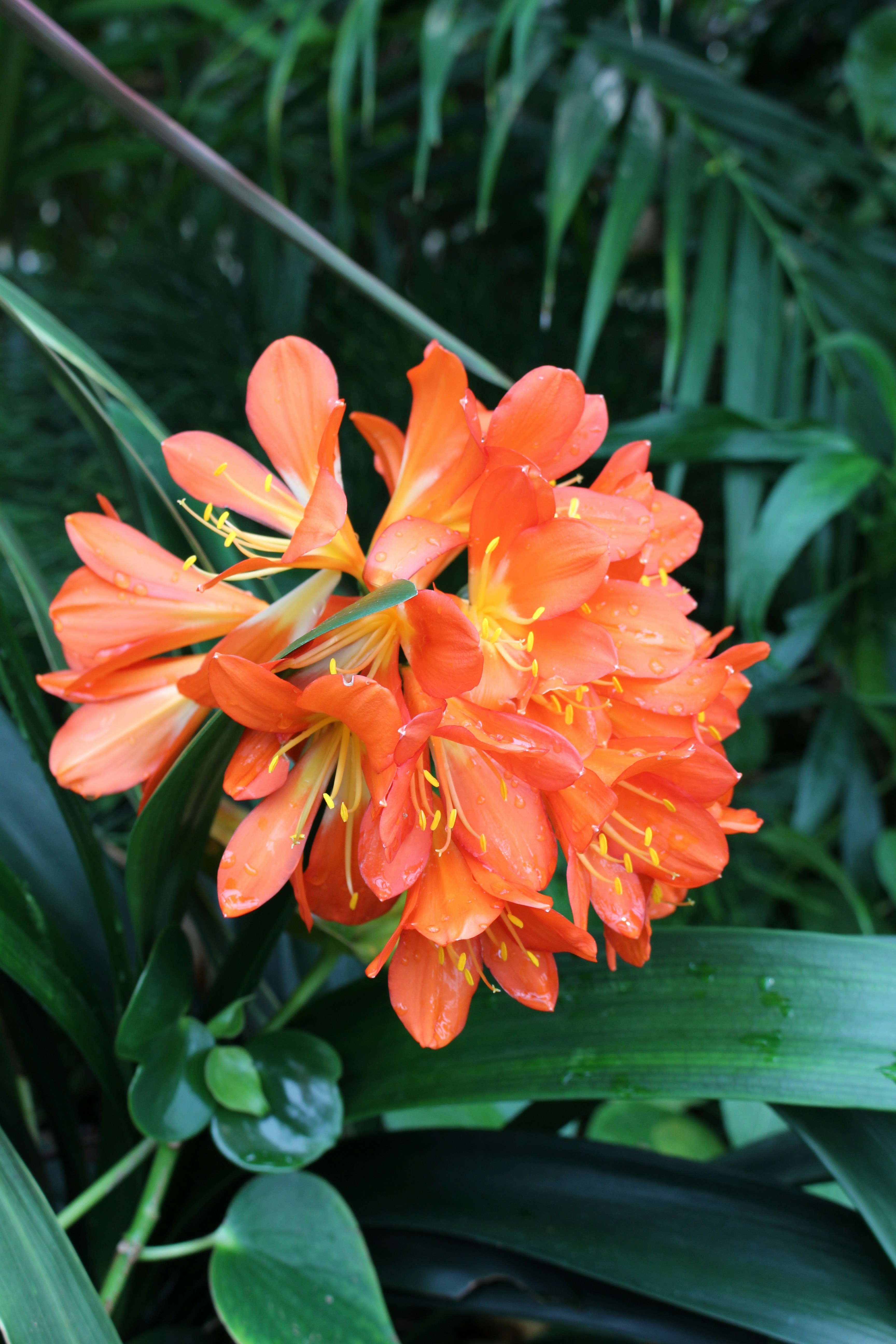 Photo by becca_winter_photography