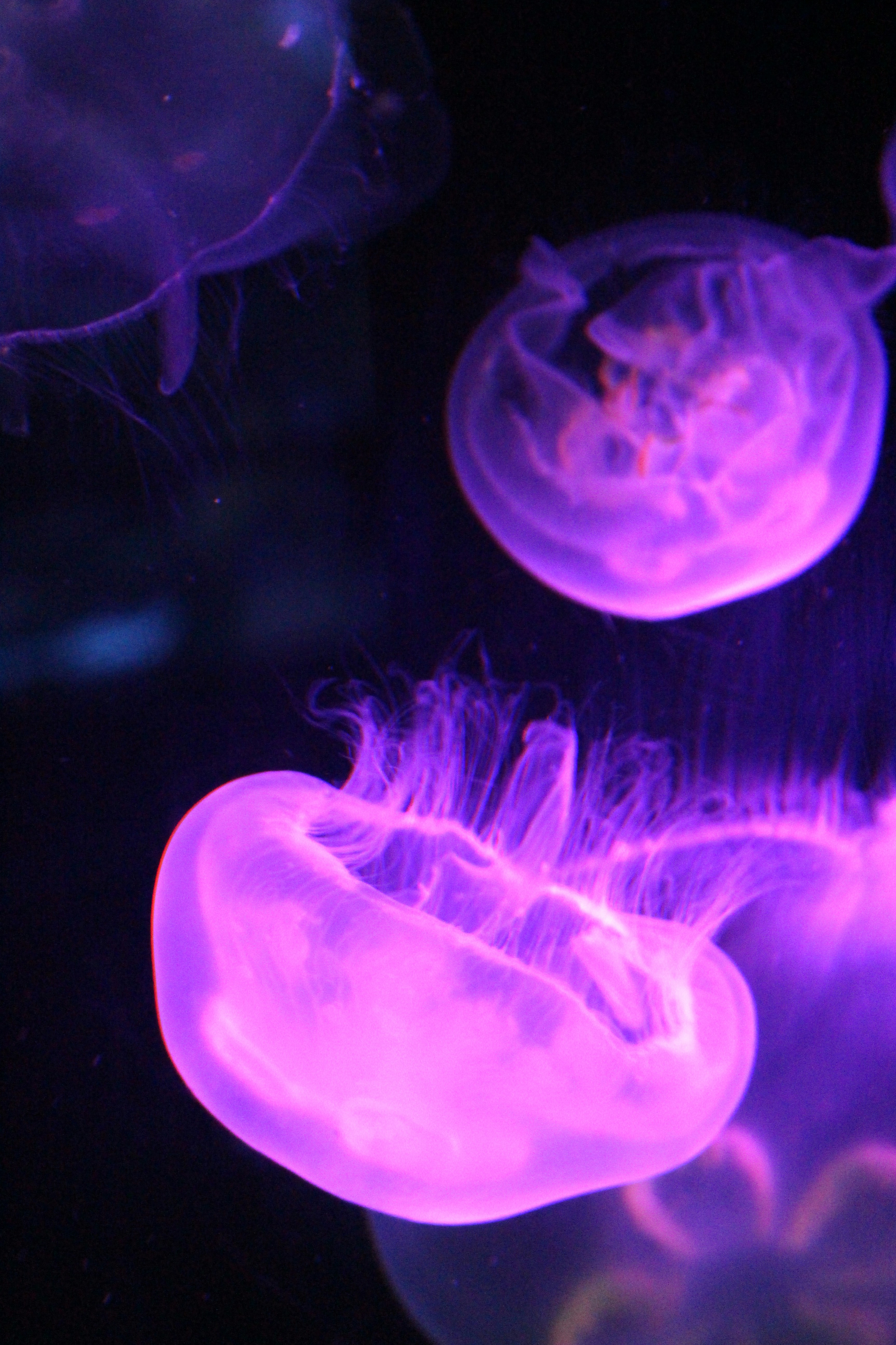 Photo by becca_winter_photography