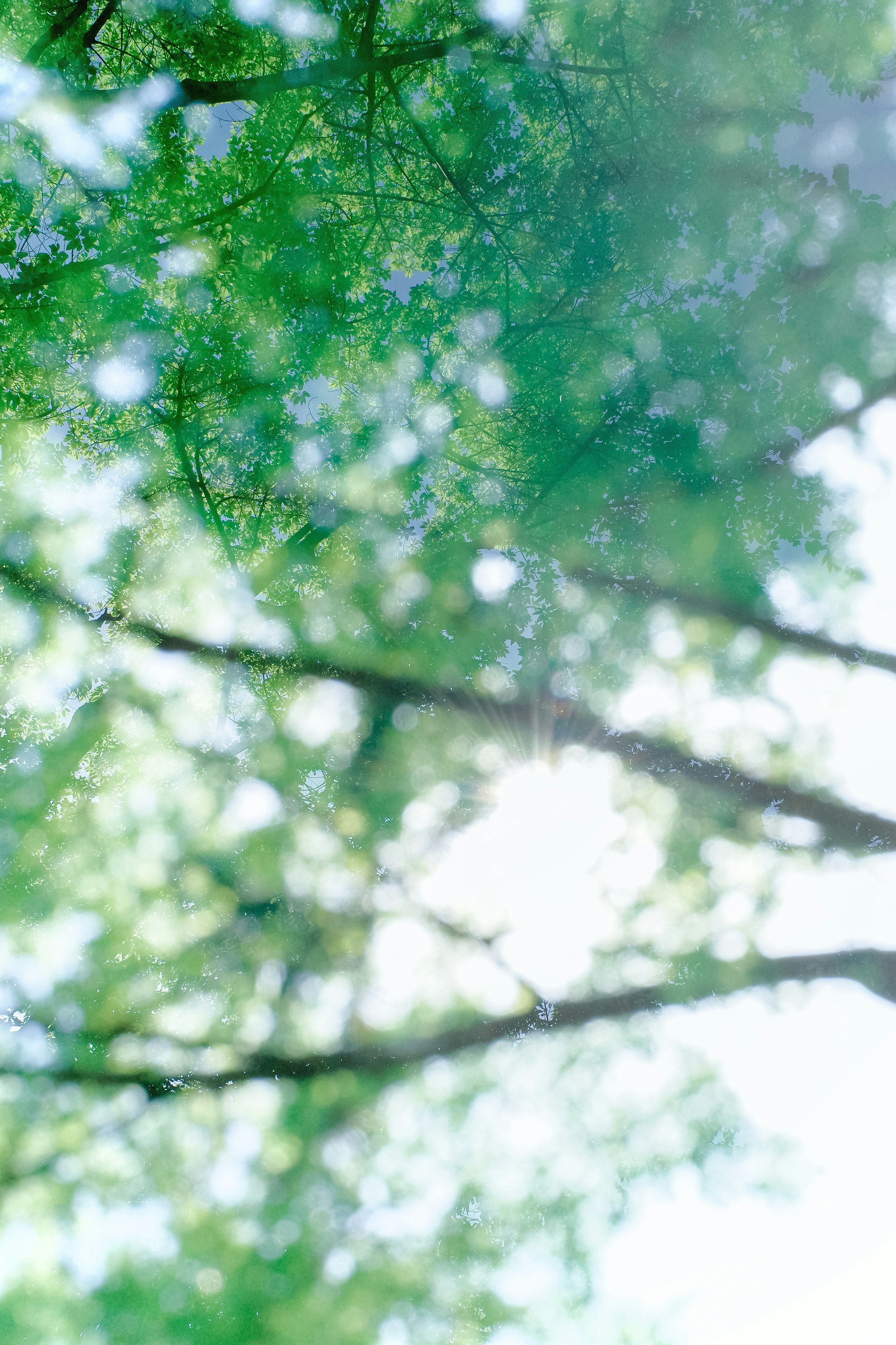 Photo by dickenslin76