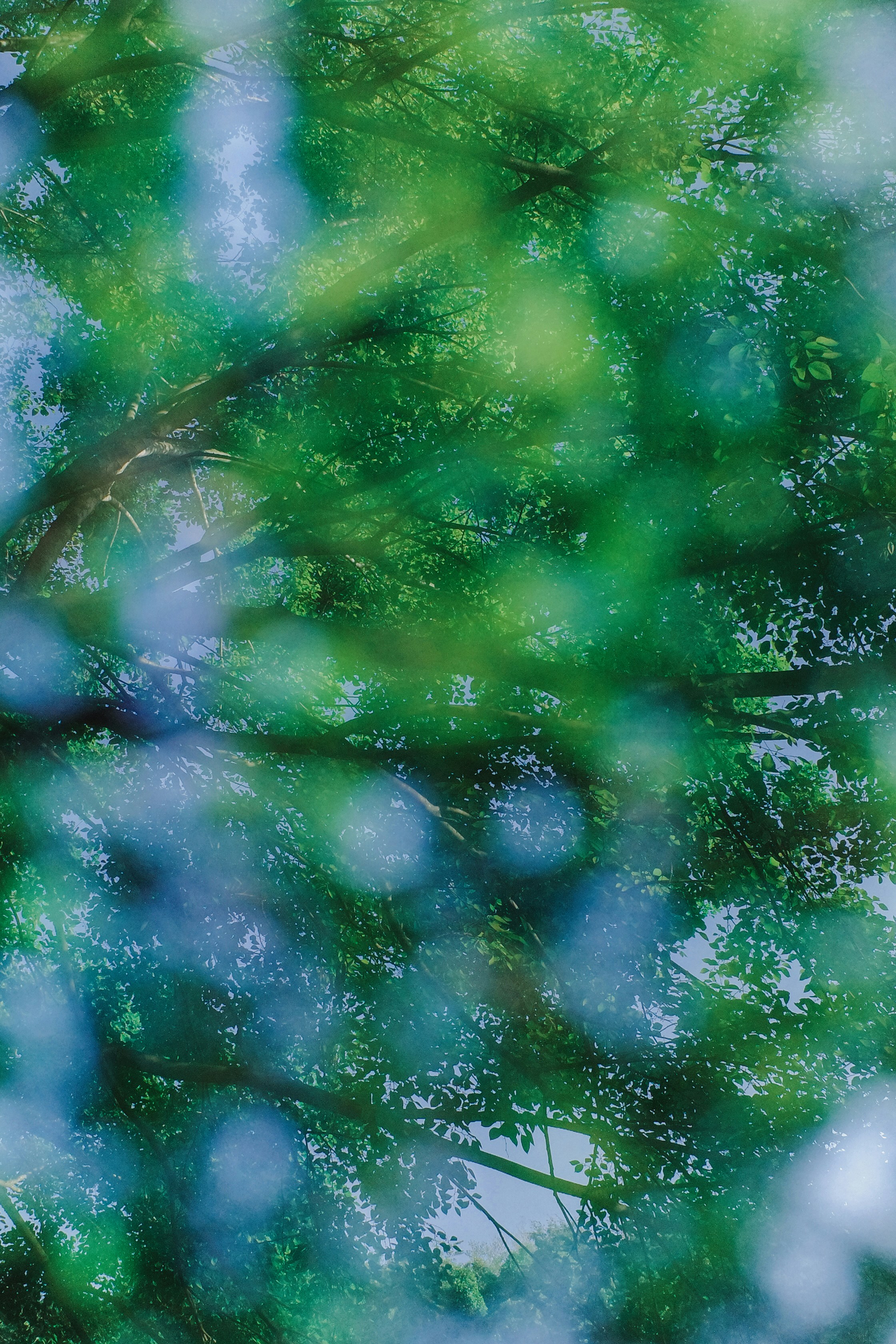 Photo by dickenslin76