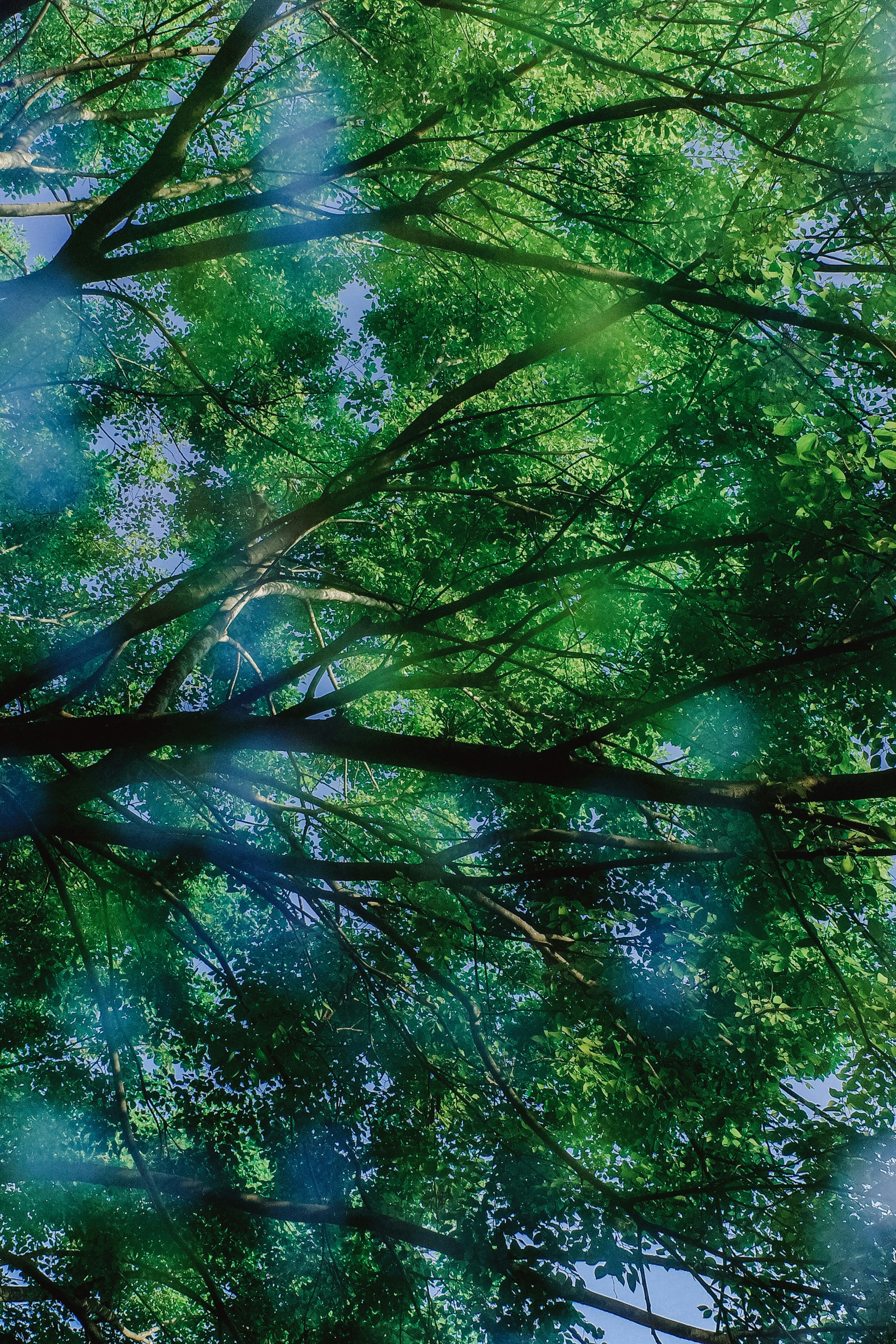 Photo by dickenslin76