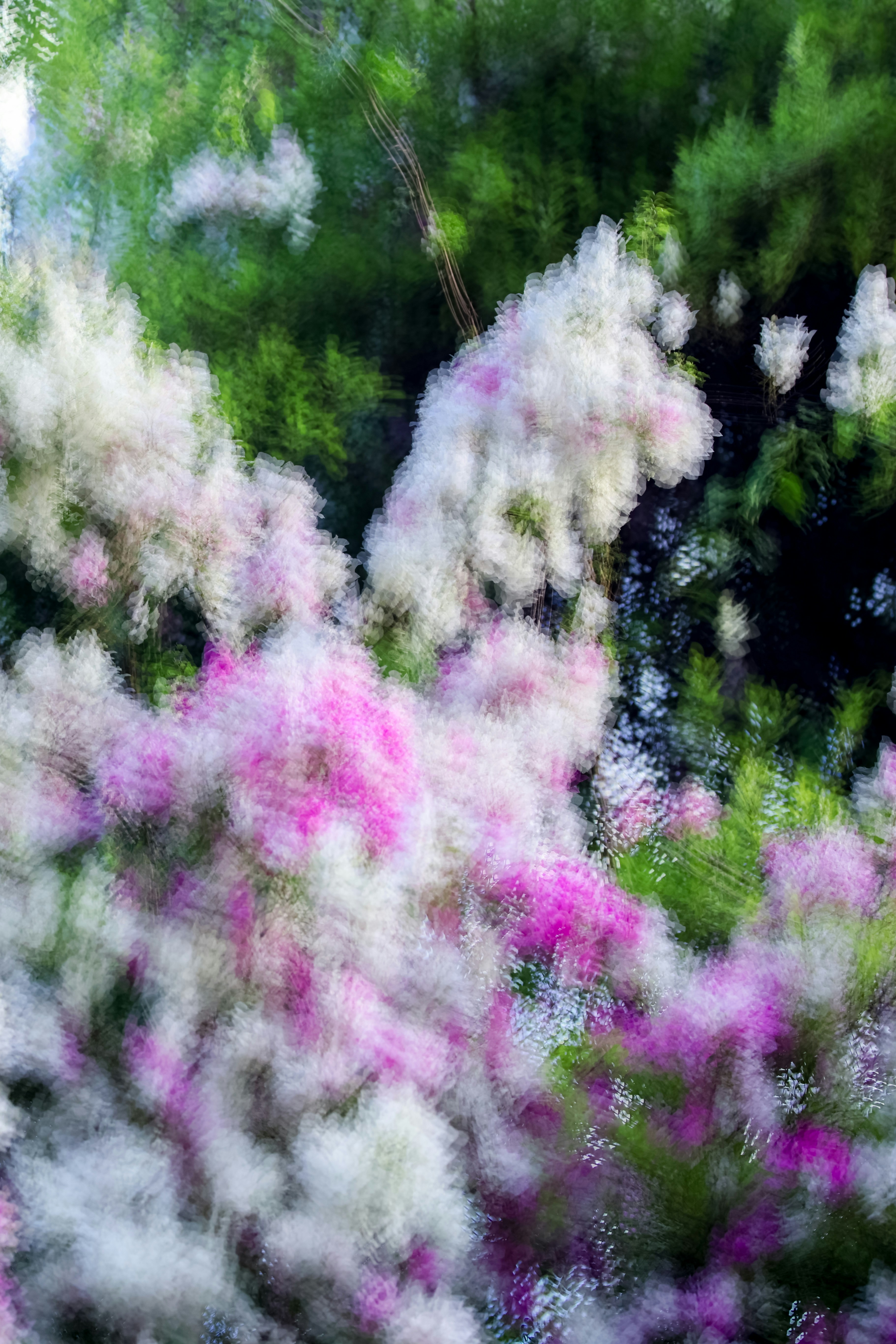 Photo by dickenslin76