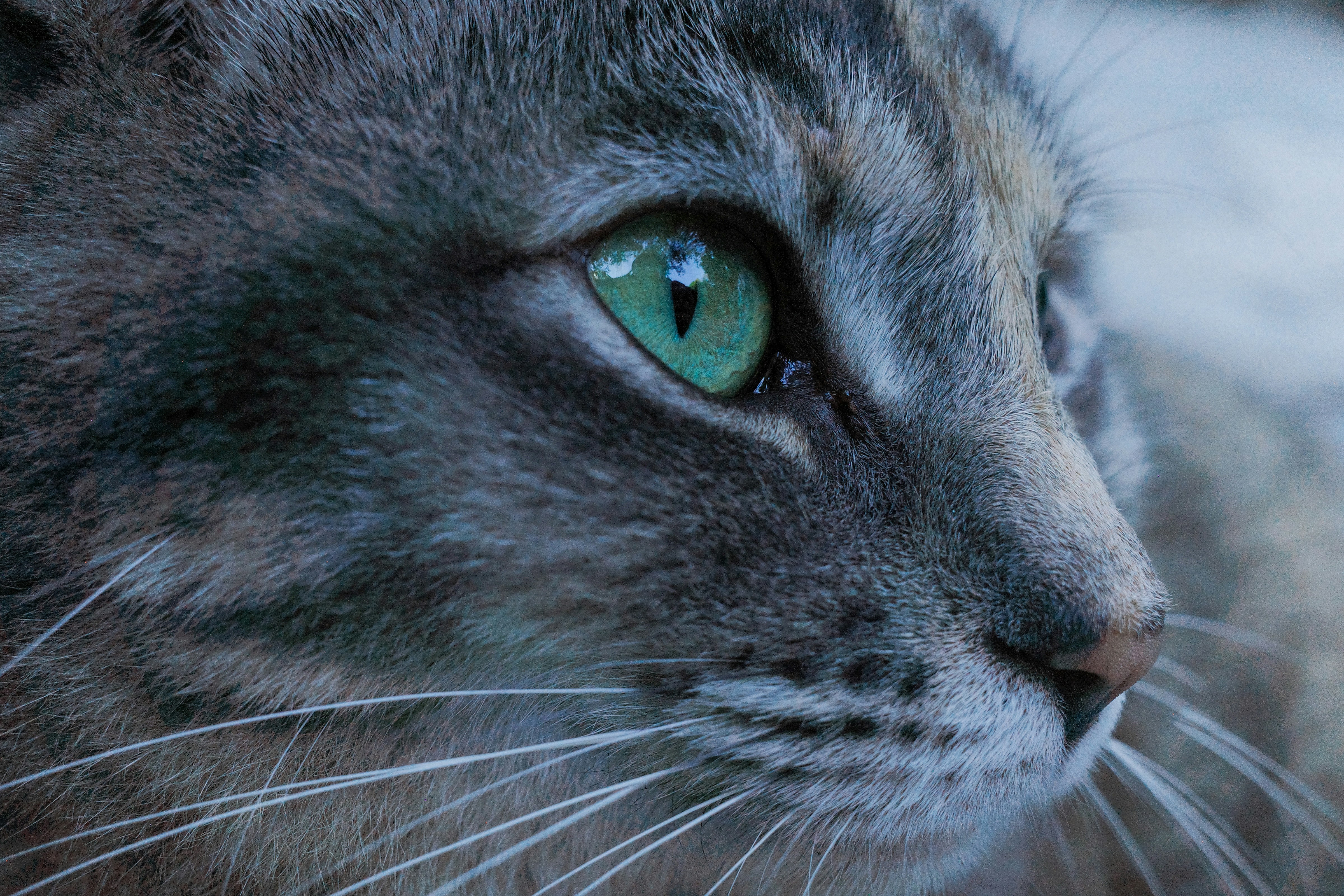 Photo by dickenslin76