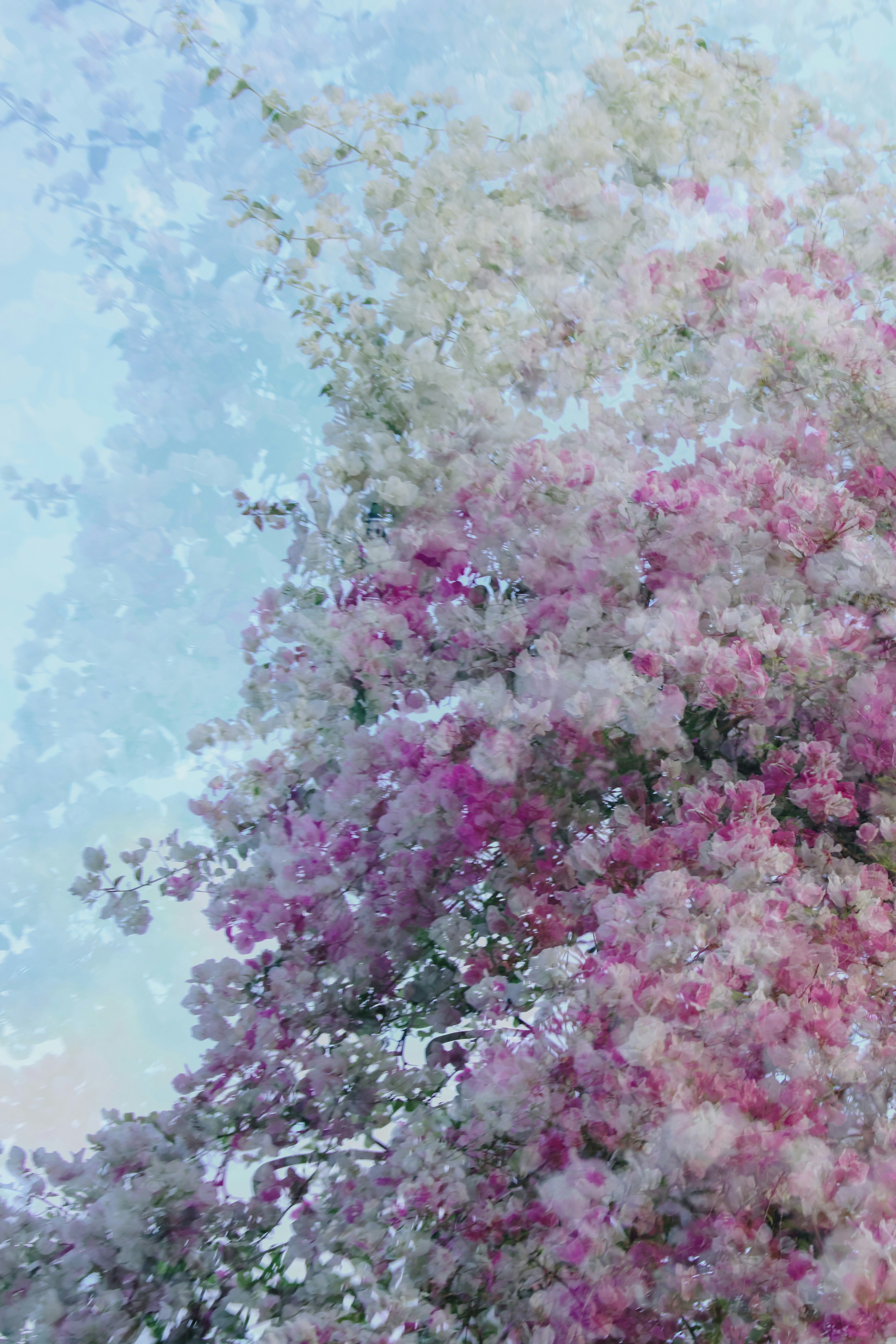 Photo by dickenslin76