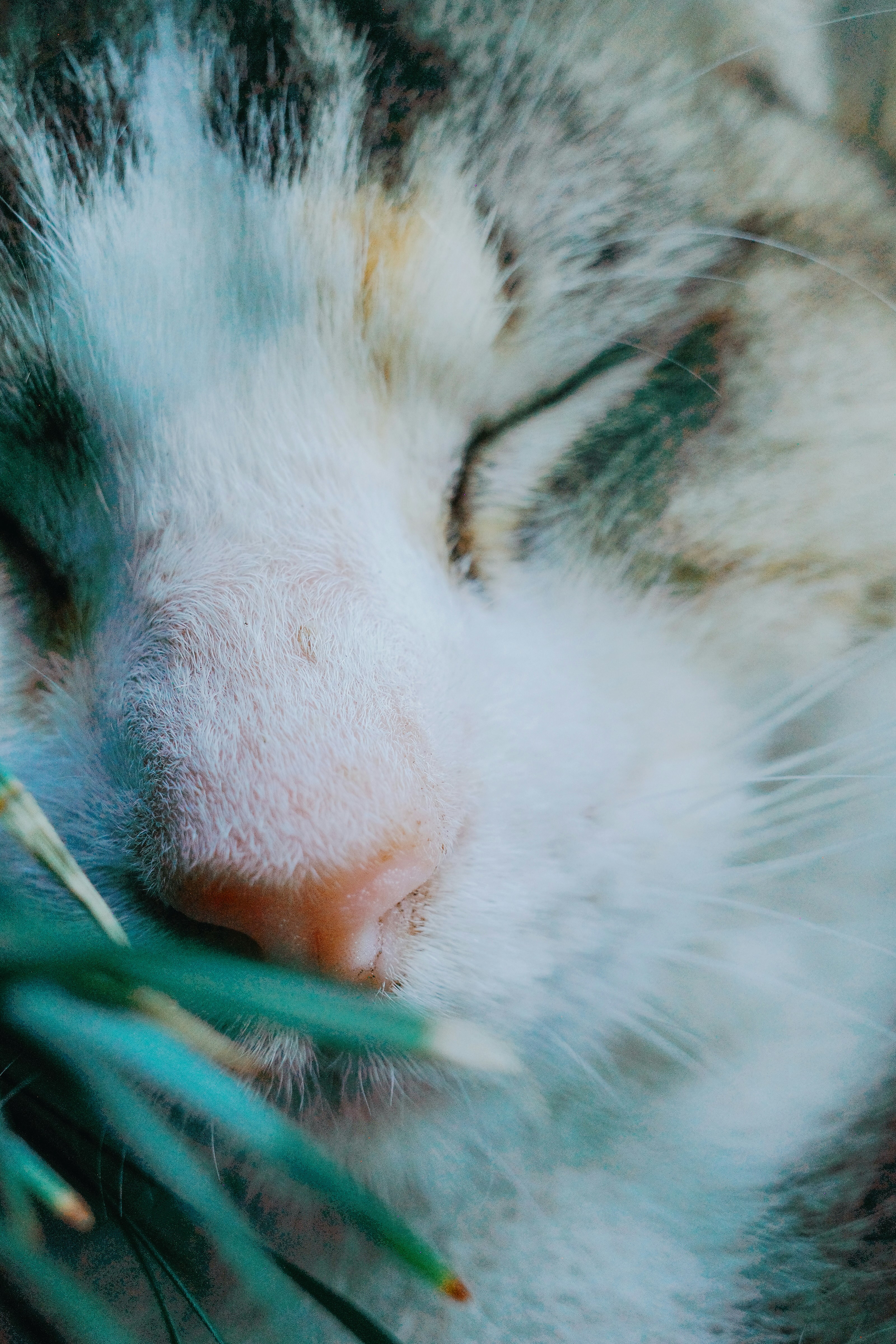 Photo by dickenslin76