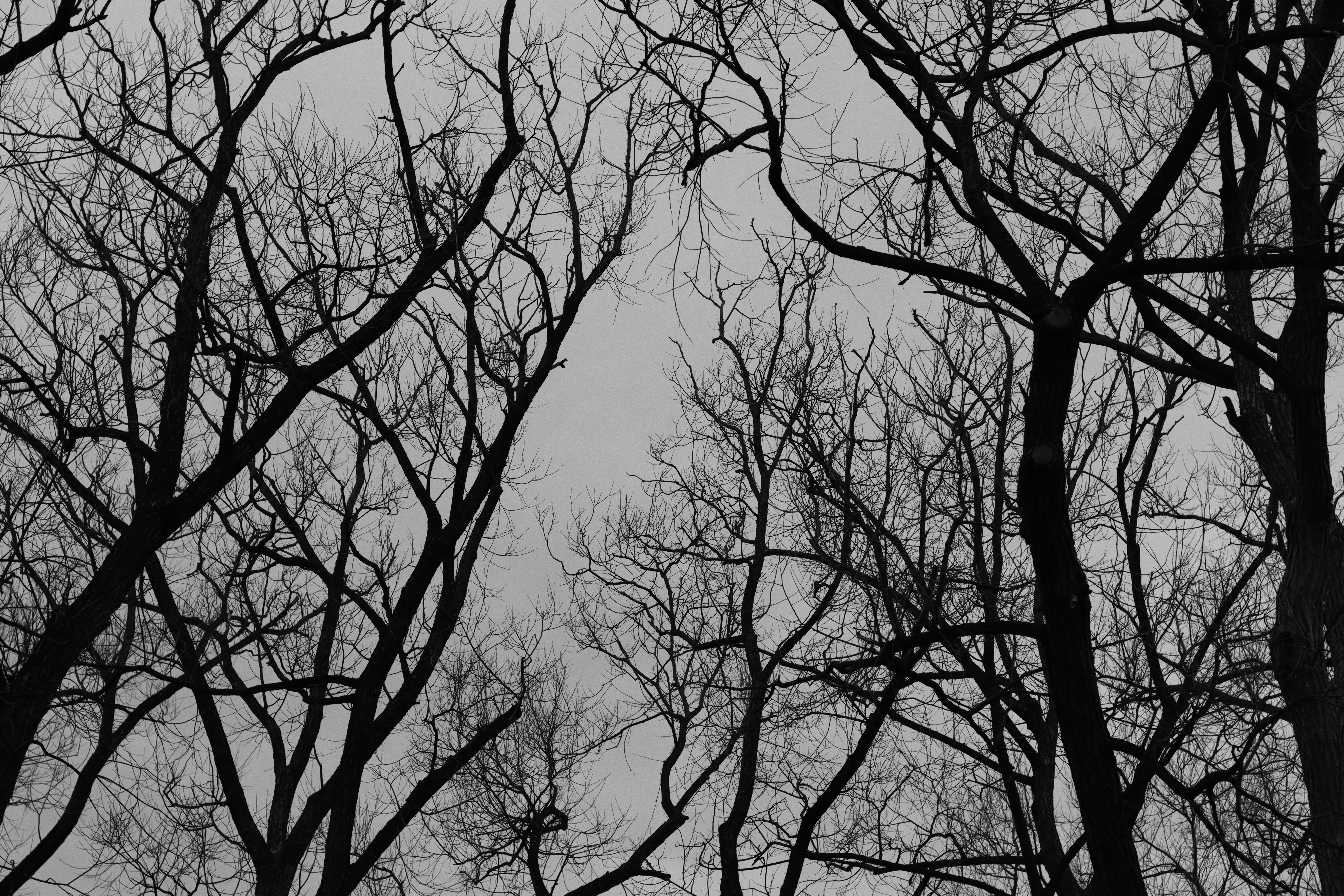 Photo by hashcode_error