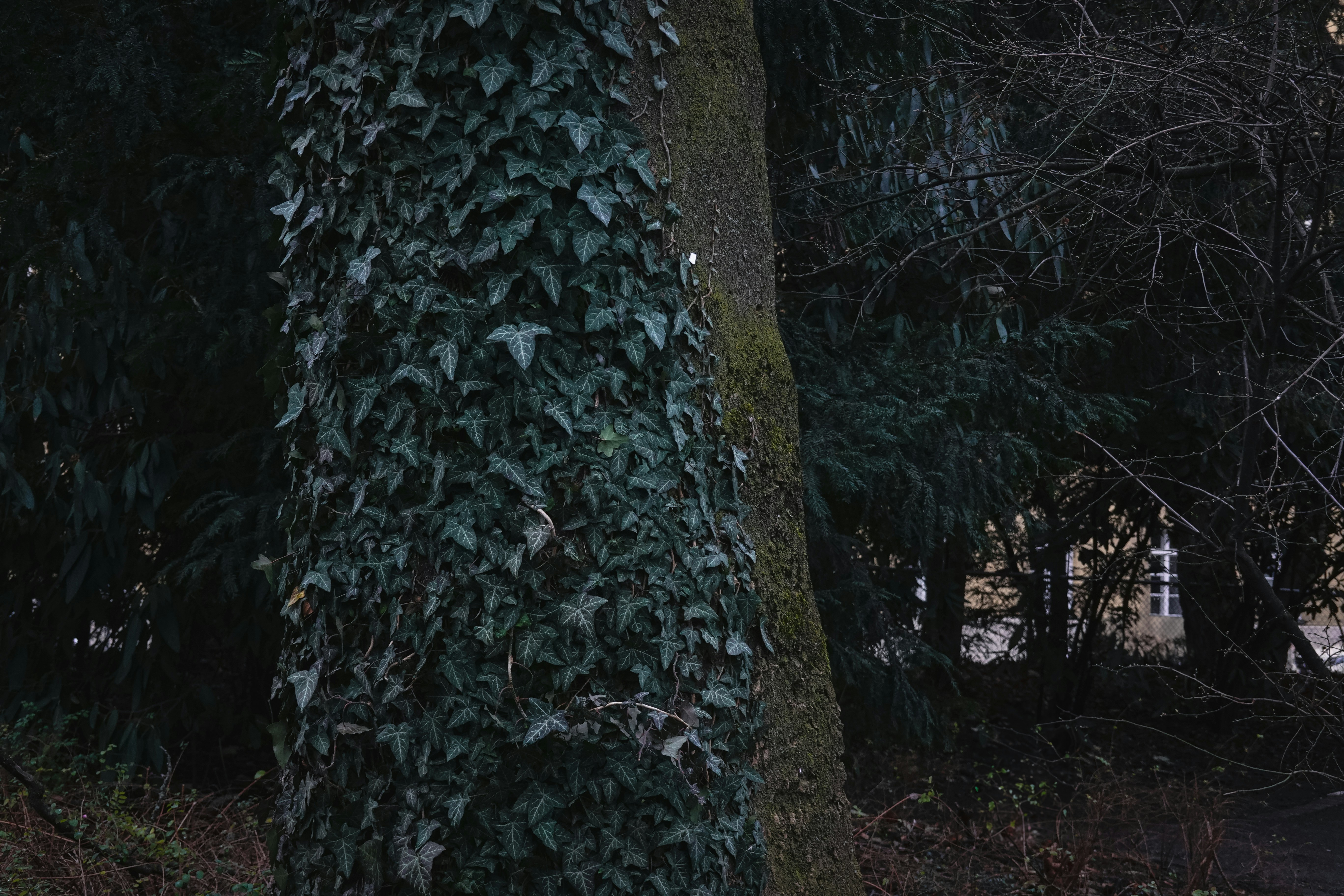 Photo by bee_bee_bee