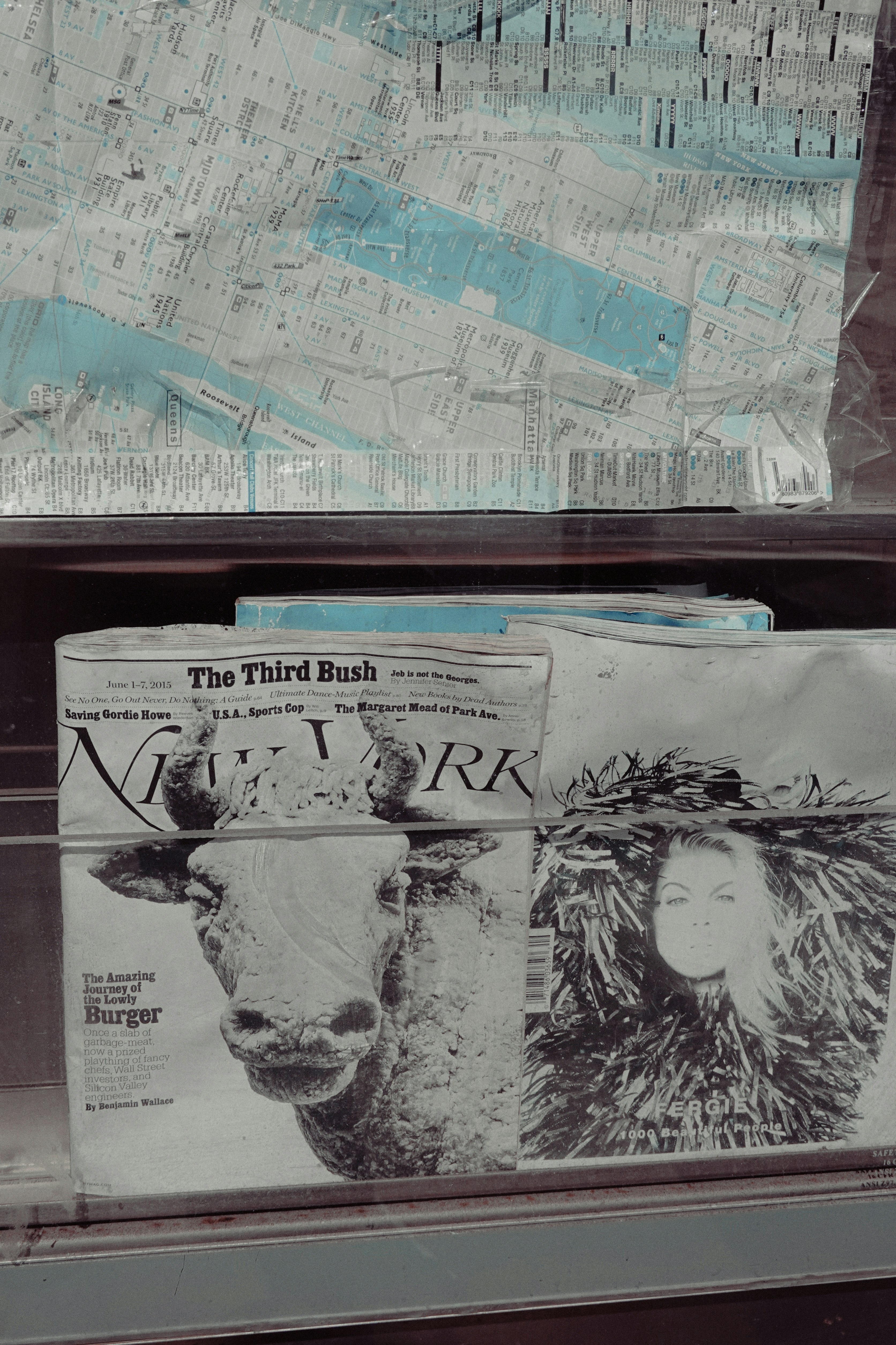 Cover des New York Times Magazins mit Kuh und Frau.