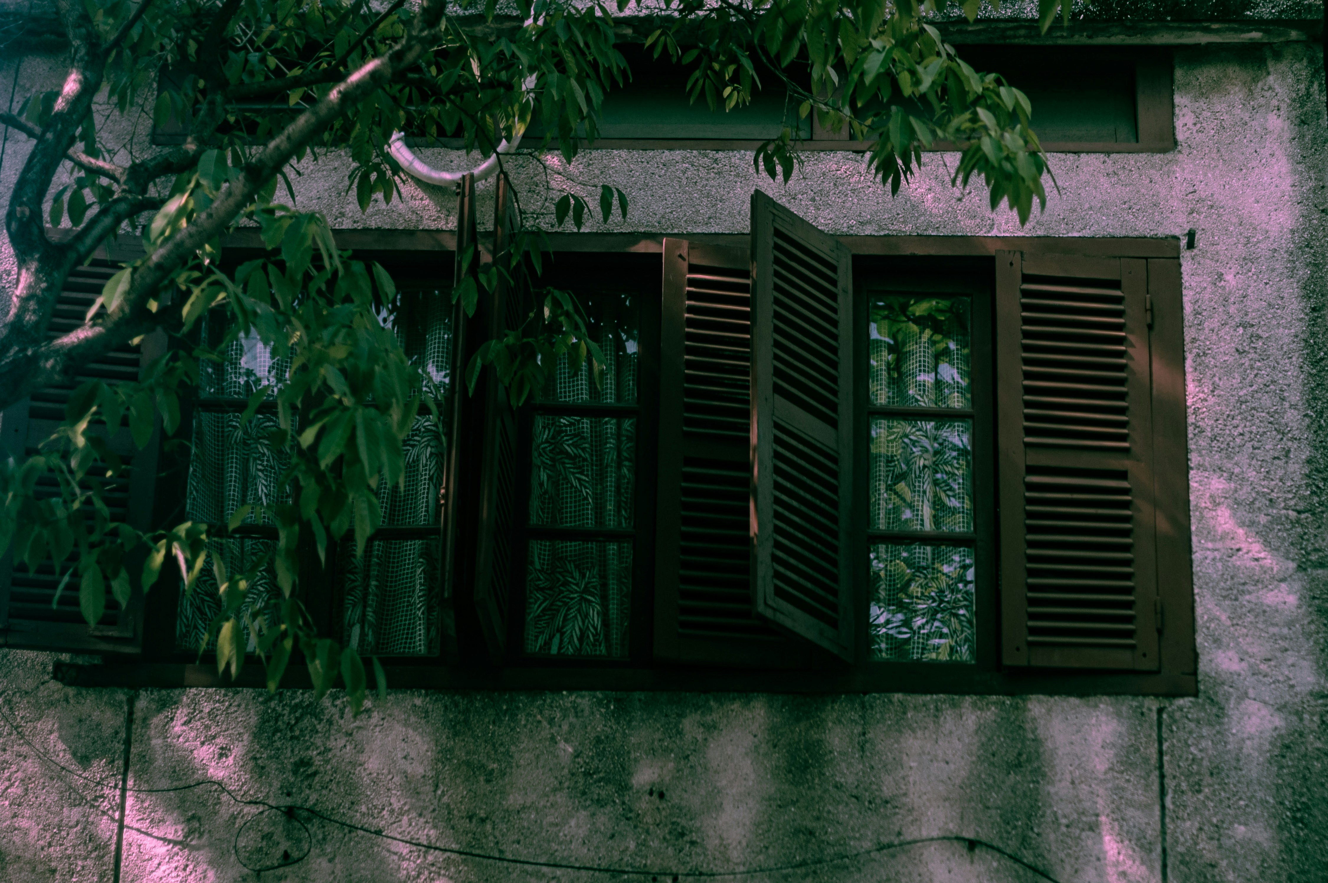 Open wooden shutters on a textured wall.