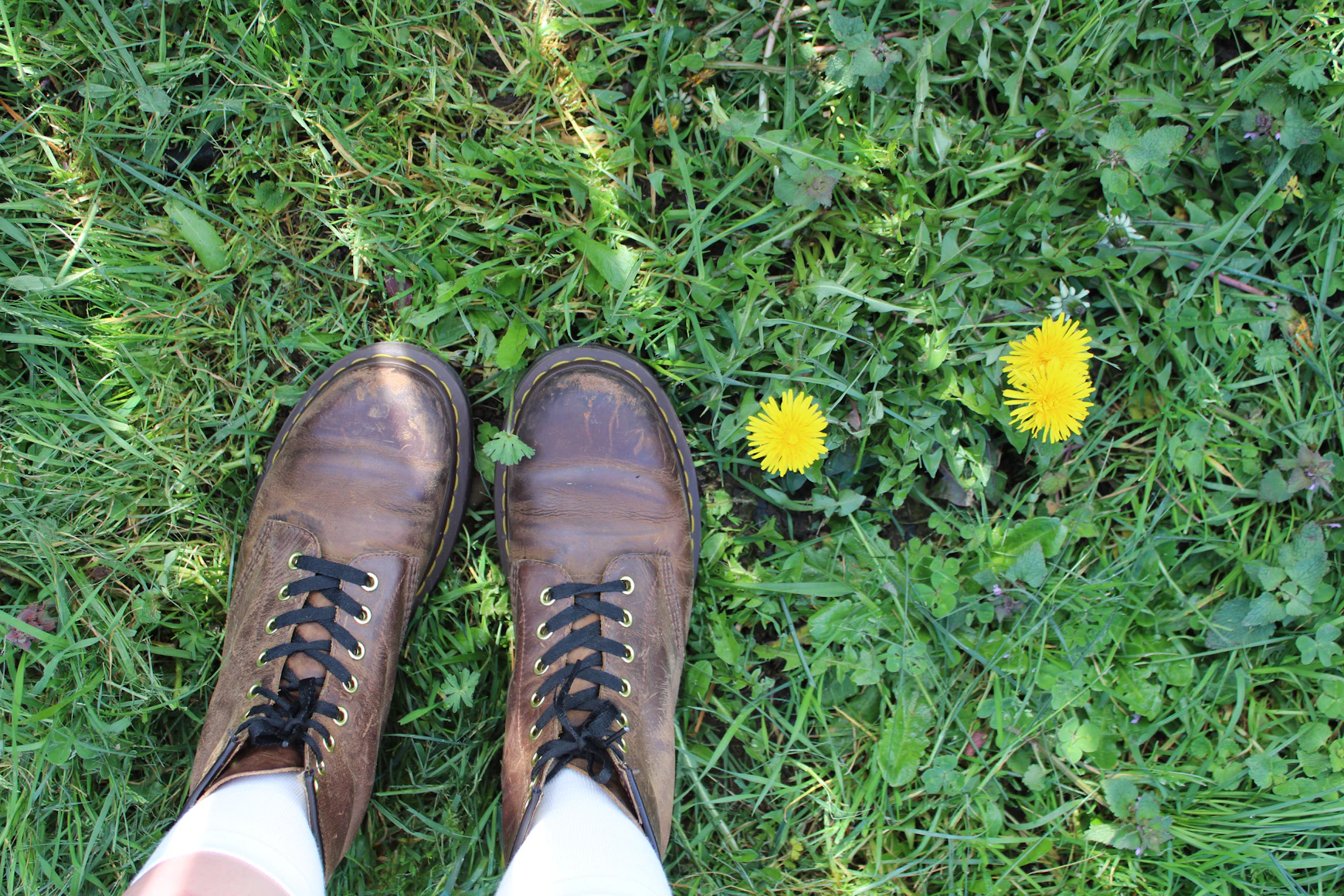brown boots on green grass with dandelions