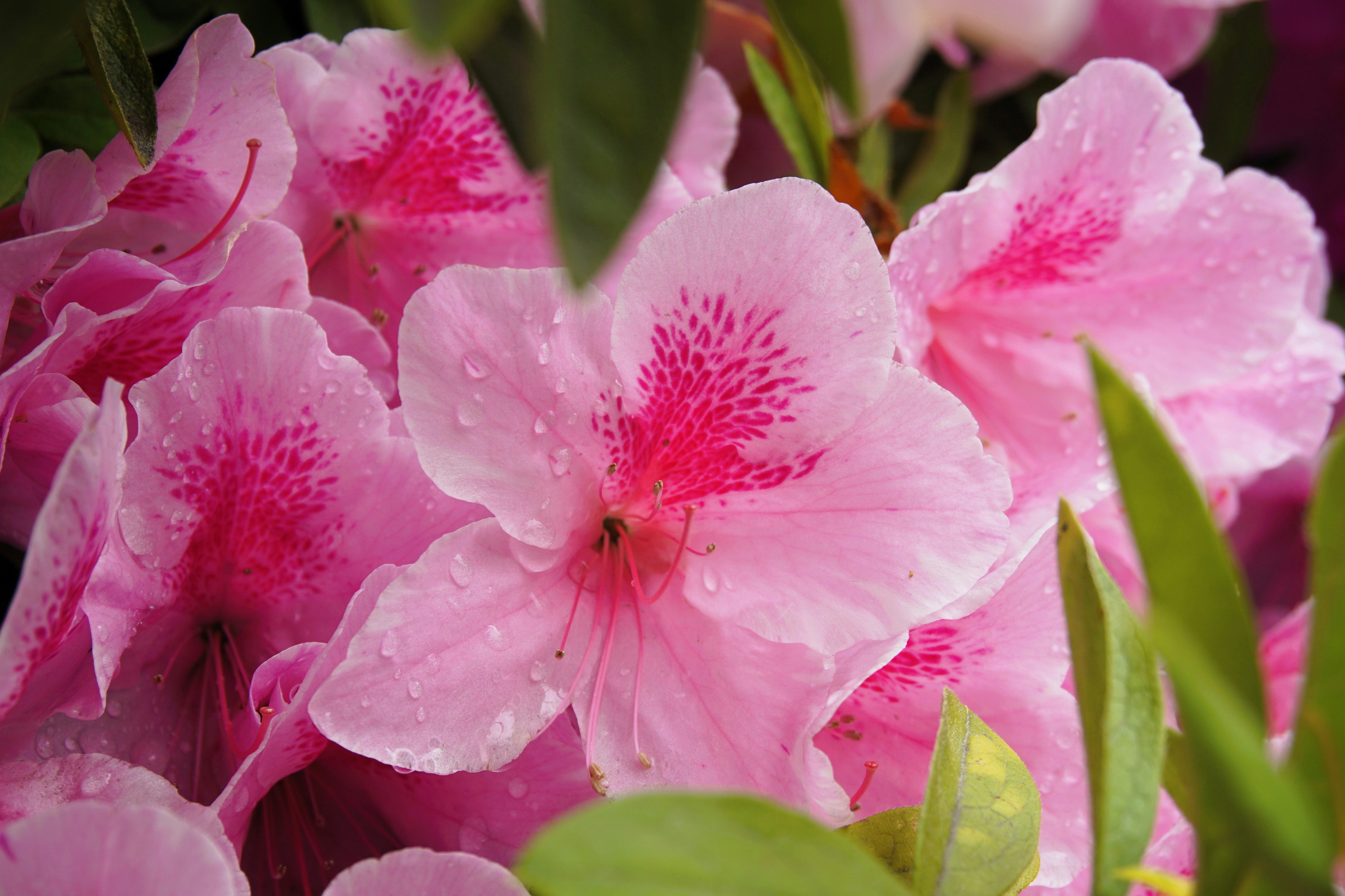 Photo by syadzasalsabyla