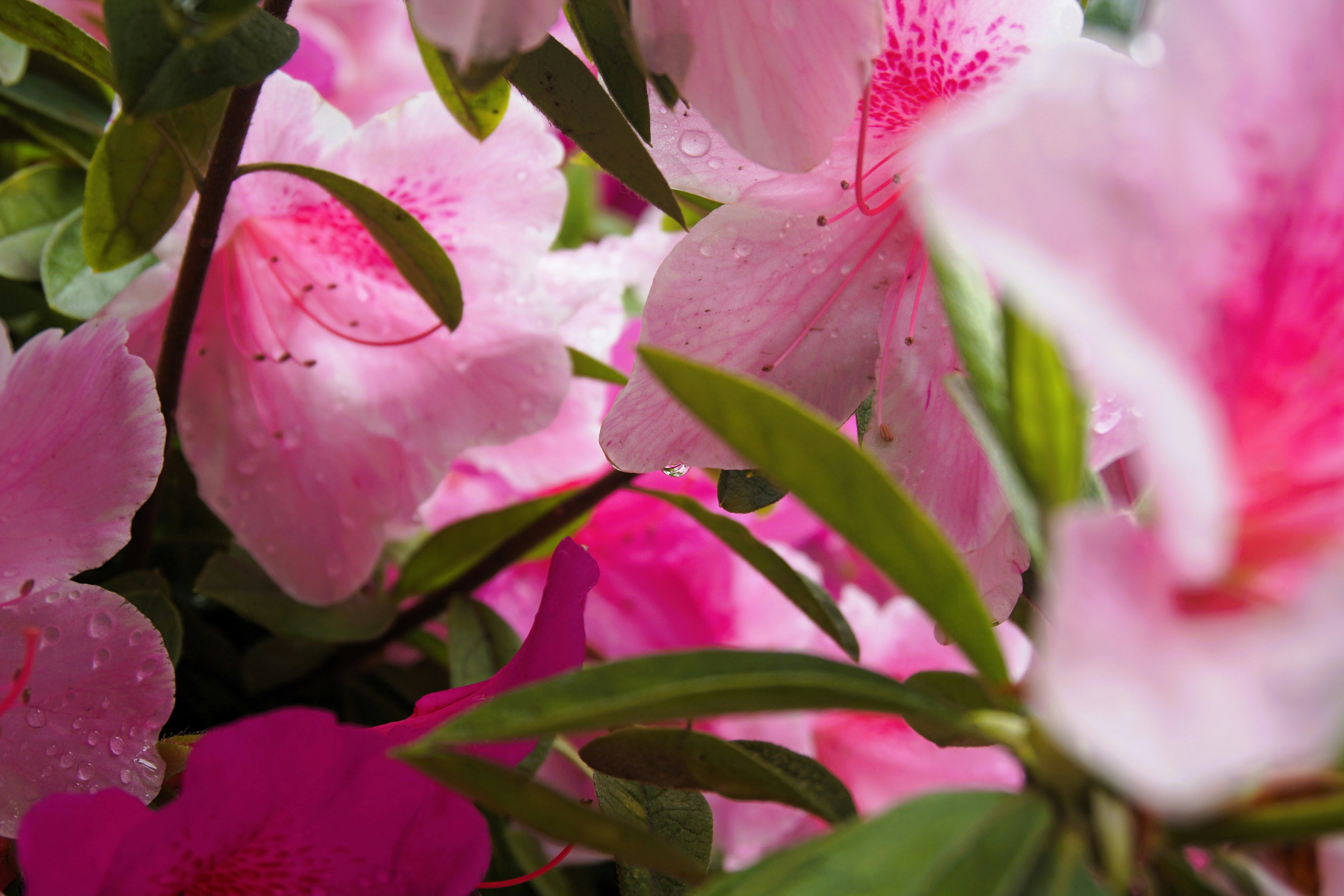 Photo by syadzasalsabyla