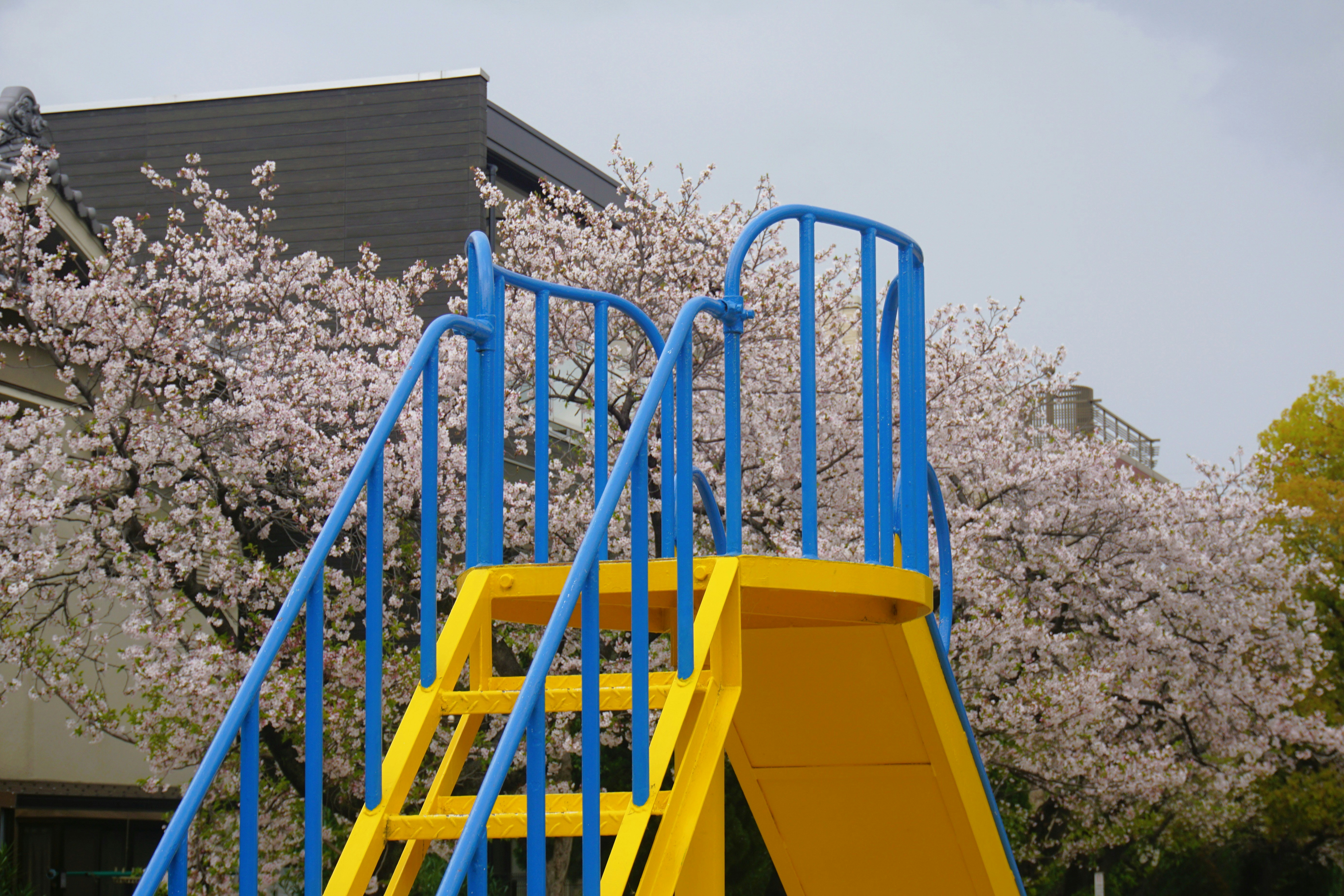 Wahl Playground