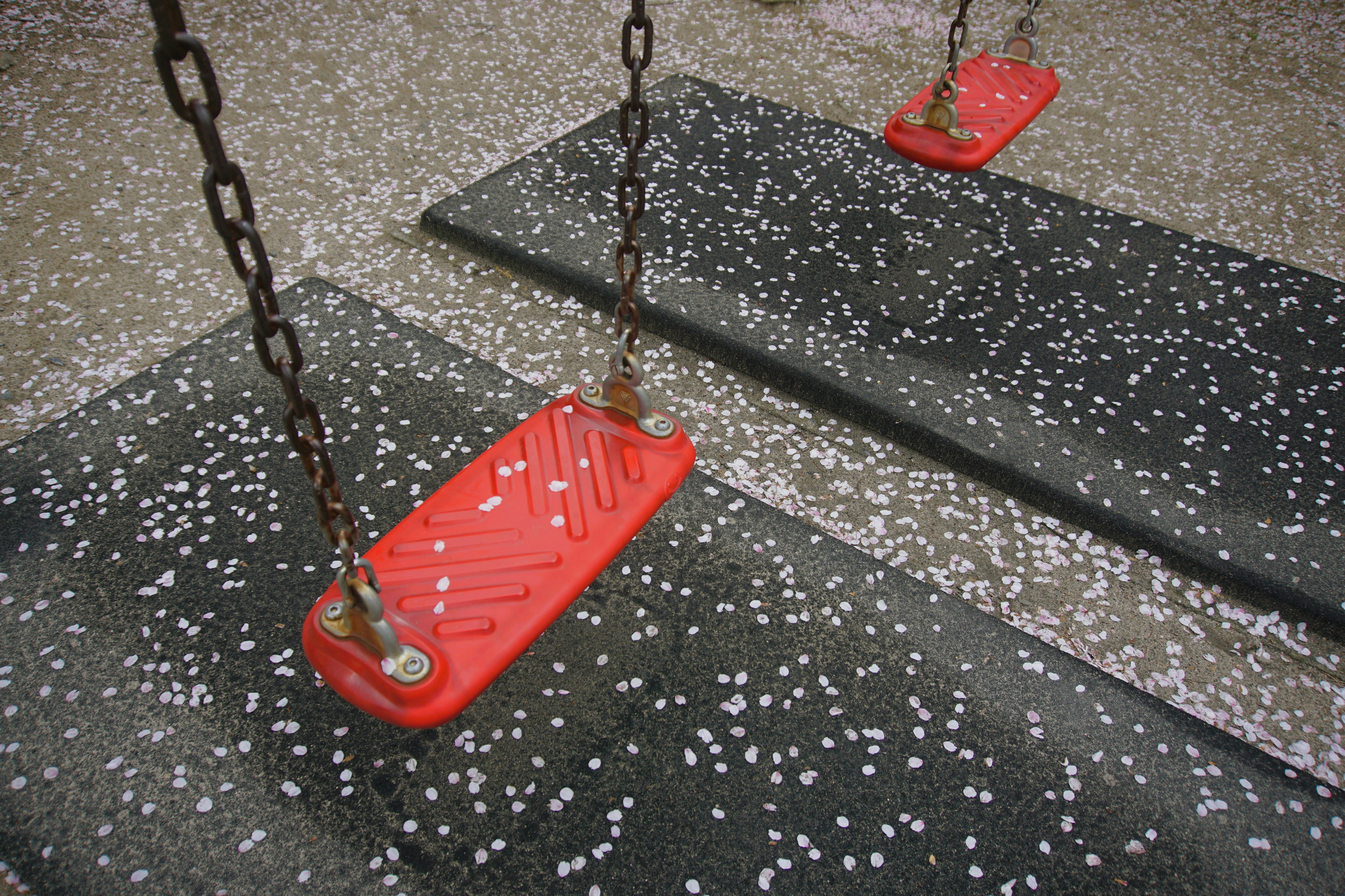 Altalene rosse su un parco giochi coperto di petali