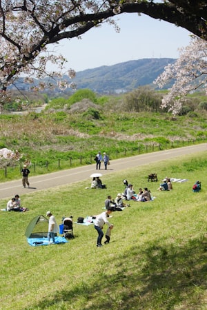 Œufs de Pâques colorés dans l'herbe