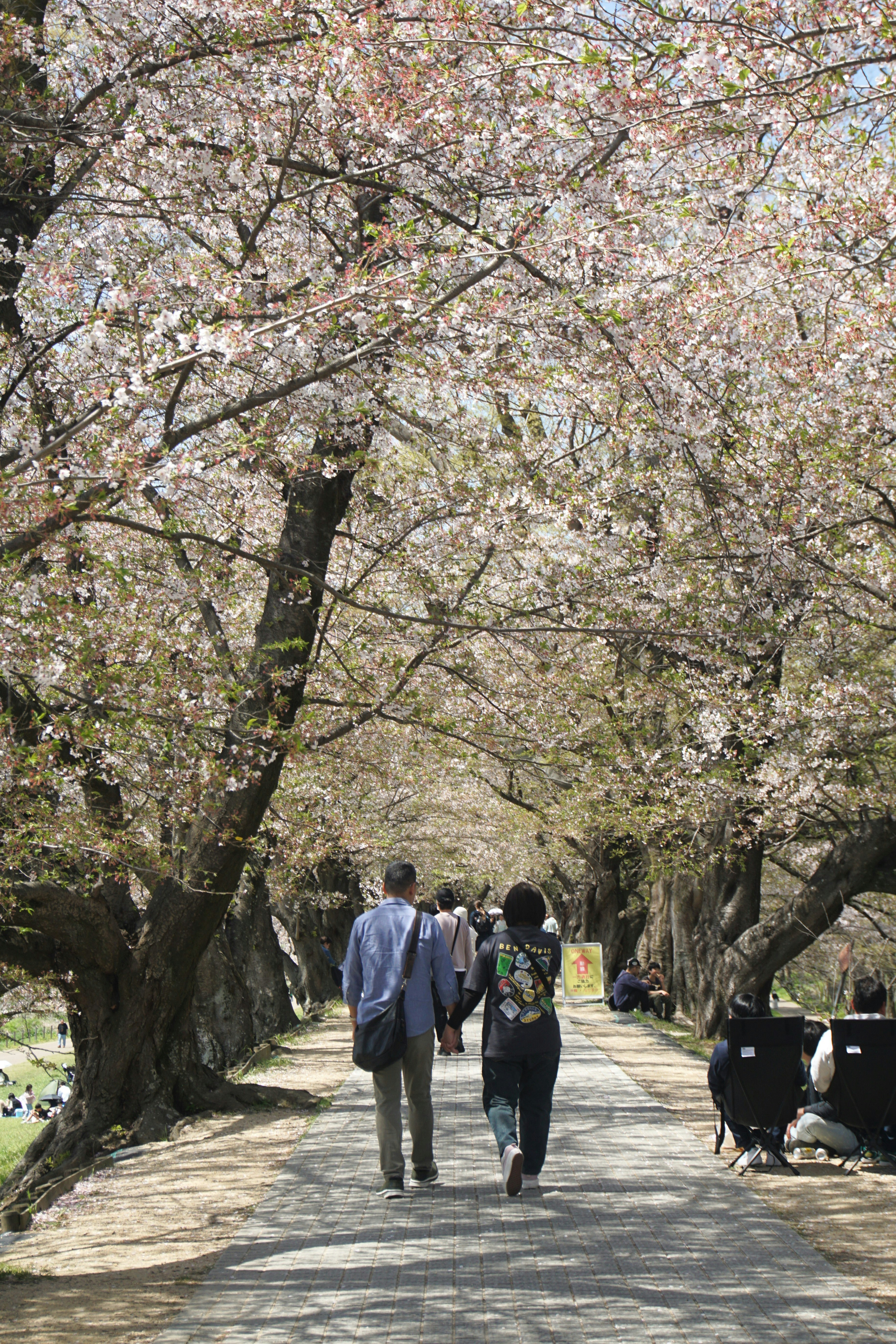 Photo by syadzasalsabyla