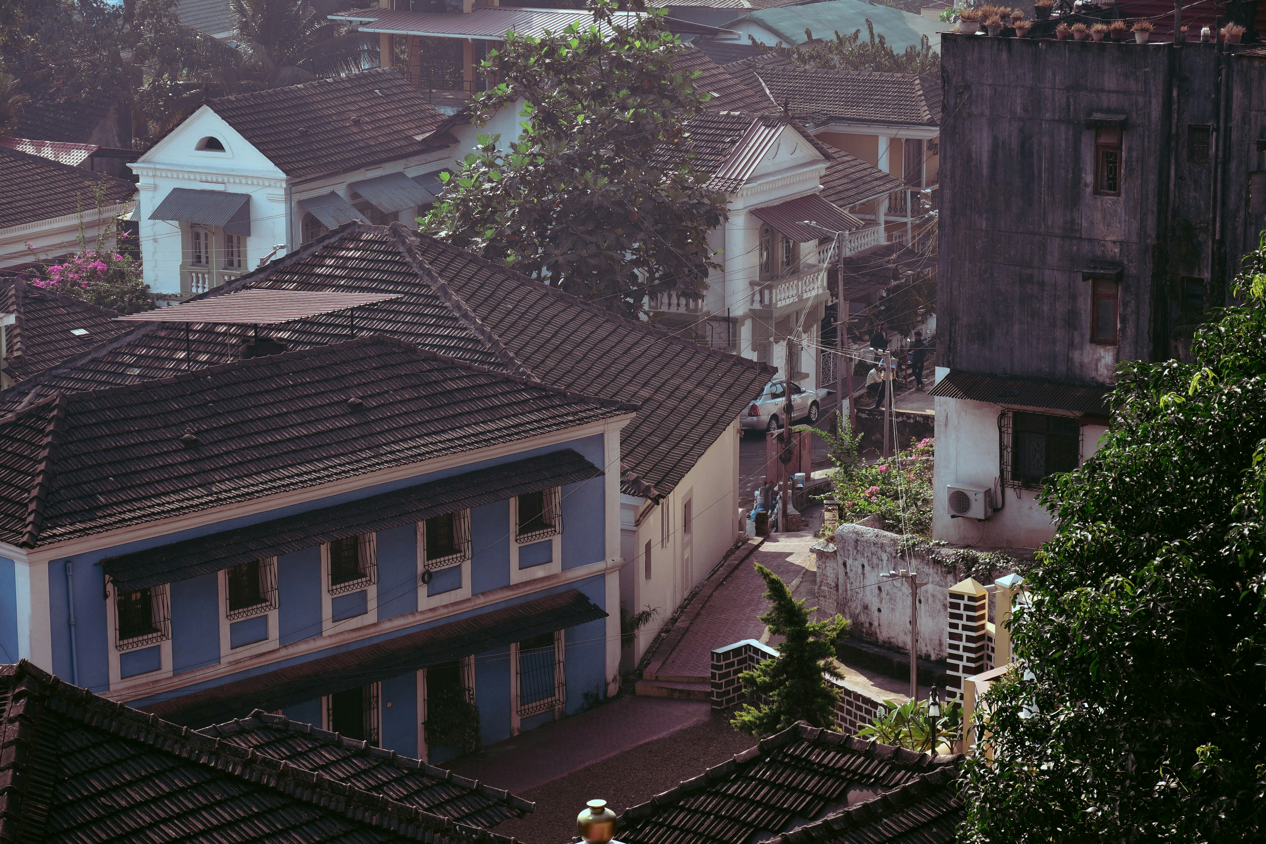Photo by varshap