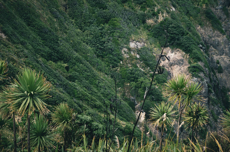 Lush green mountain landscape with steep rocky cliff and grassy hillside in foreground