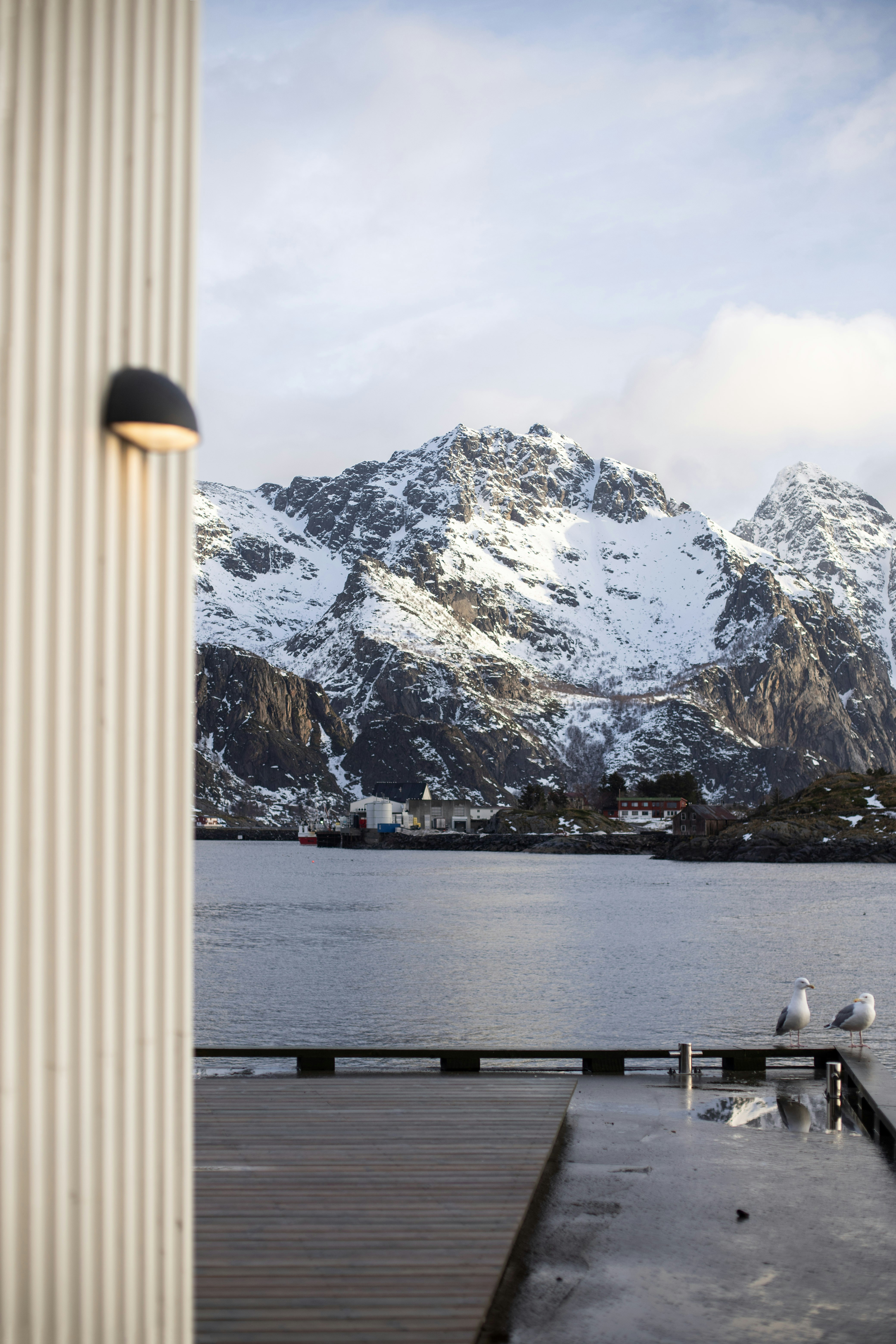 Montañas nevadas dominan una bahía tranquila con gaviotas.